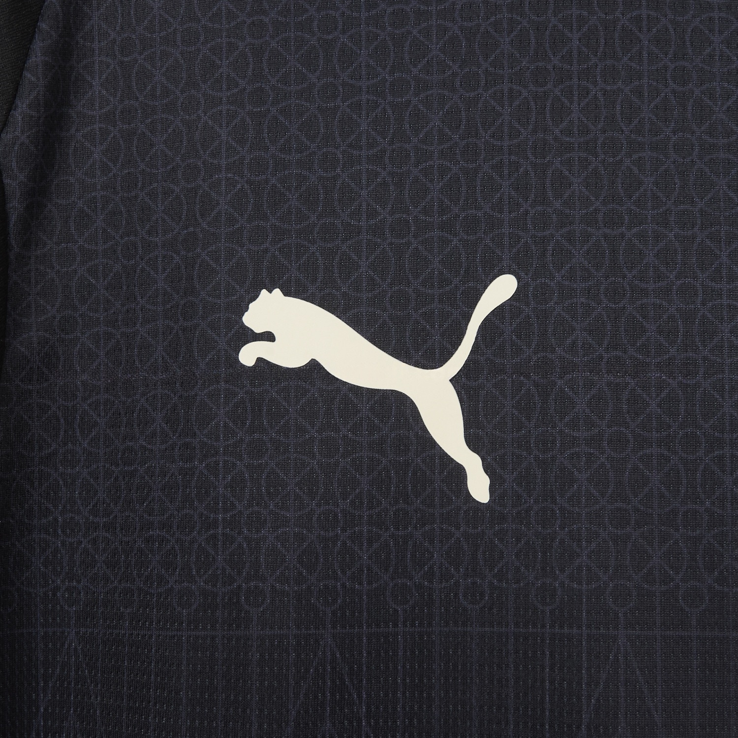 Dortmund 25-26 “100 JAHRE STADION ROTE ERDE” Black Special Jersey - Fans Version - Unitedfutballjersey