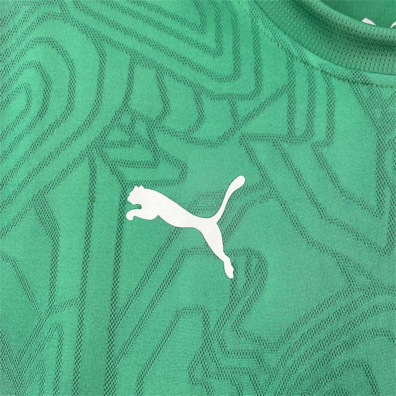 Fluminense 26-27 Green Pre-Match Jersey - Fans Version - Unitedfutballjersey