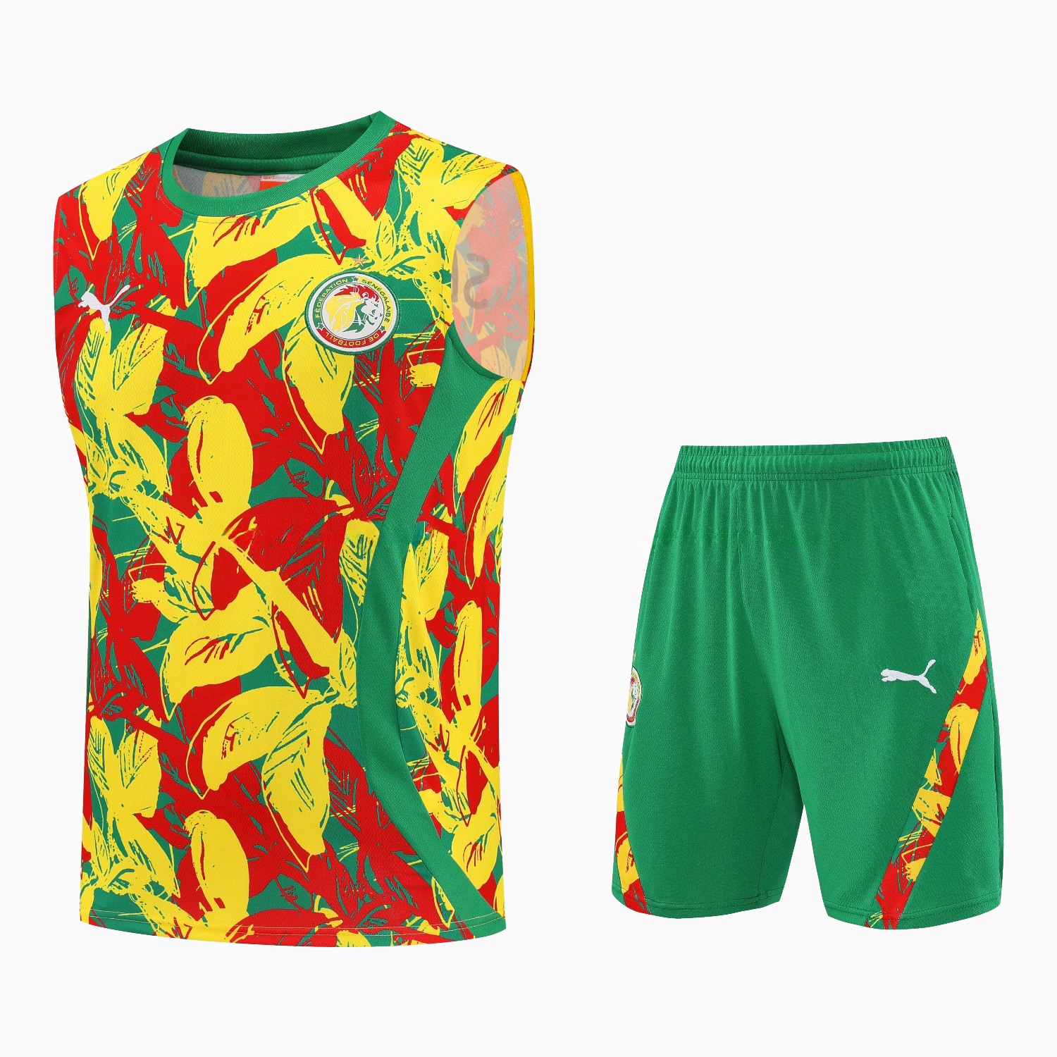 Senegal 2026 Vest Training Set - Variegated Vest and Green Shorts - Unitedfutballjersey