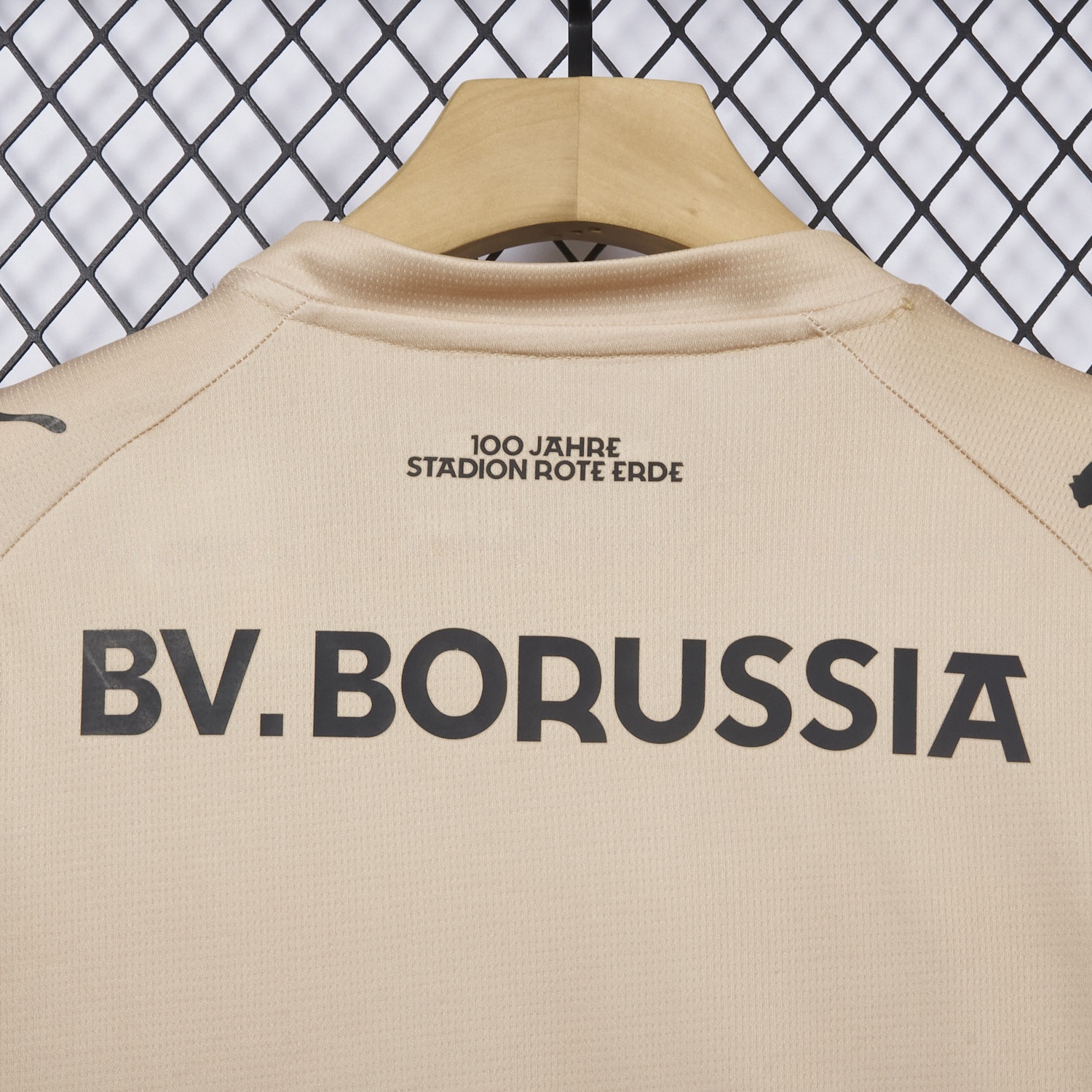 Dortmund 25-26 “100 JAHRE STADION ROTE ERDE” Beige Goalkeeper Special Jersey - Fans Version - Unitedfutballjersey