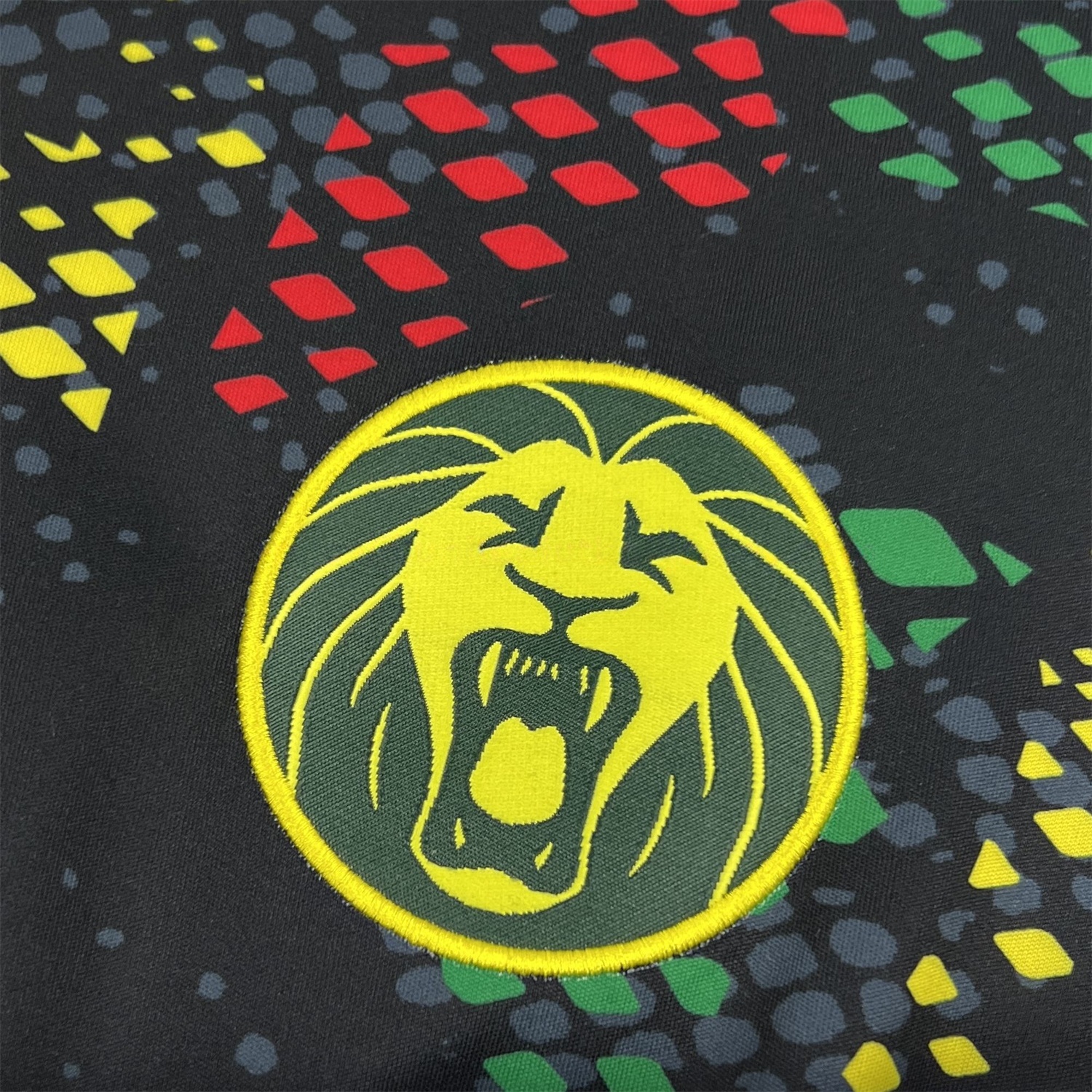 Cameroon 2026 Black Special Jersey - Fans Version - Unitedfutballjersey