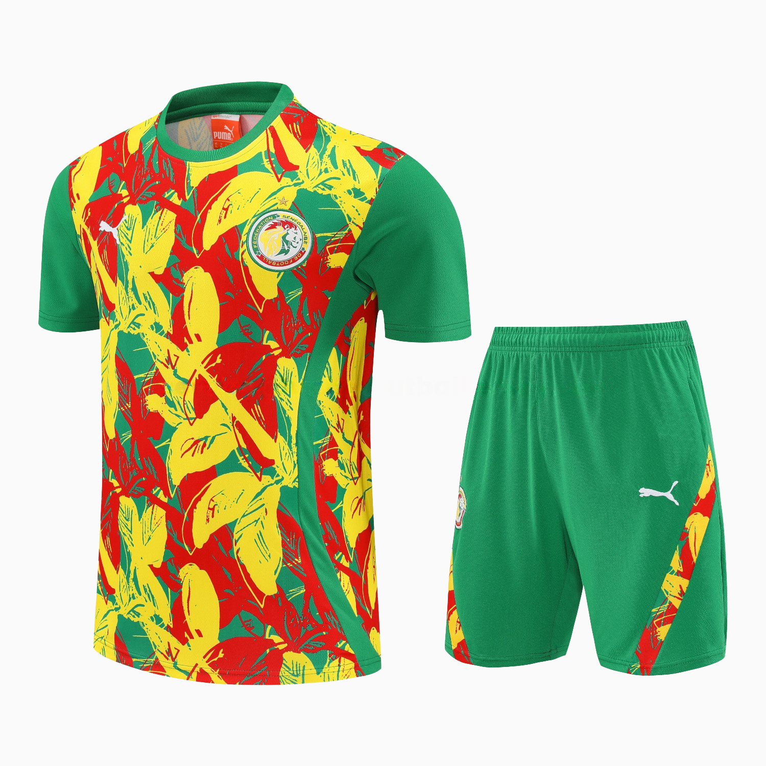 Senegal 2026 Short-Sleeve Training Set - Variegated Top and Green Shorts - Unitedfutballjersey
