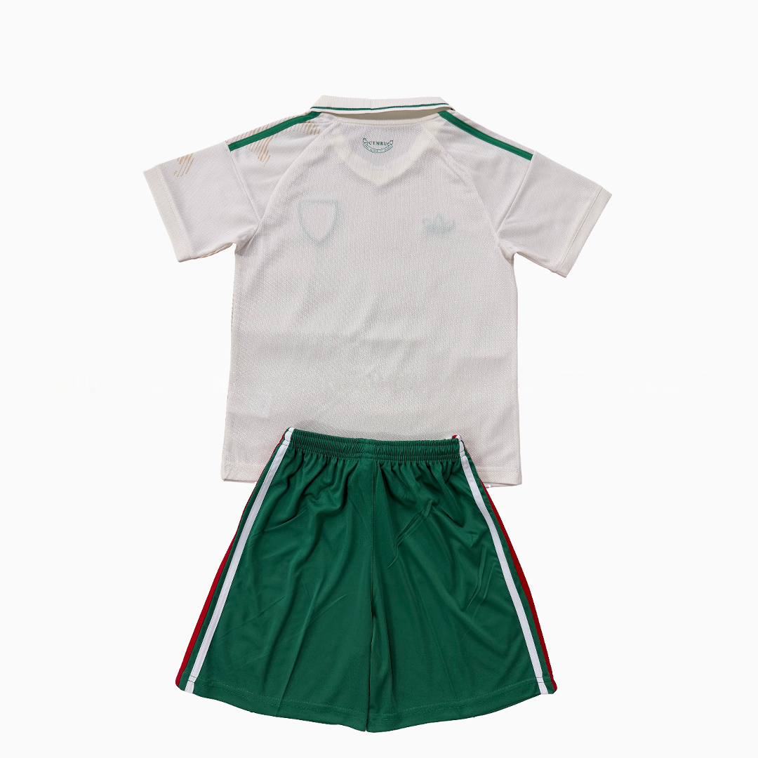 Wales 2026 Away Men's Adult Jersey Set - Fans Version - Unitedfutballjersey