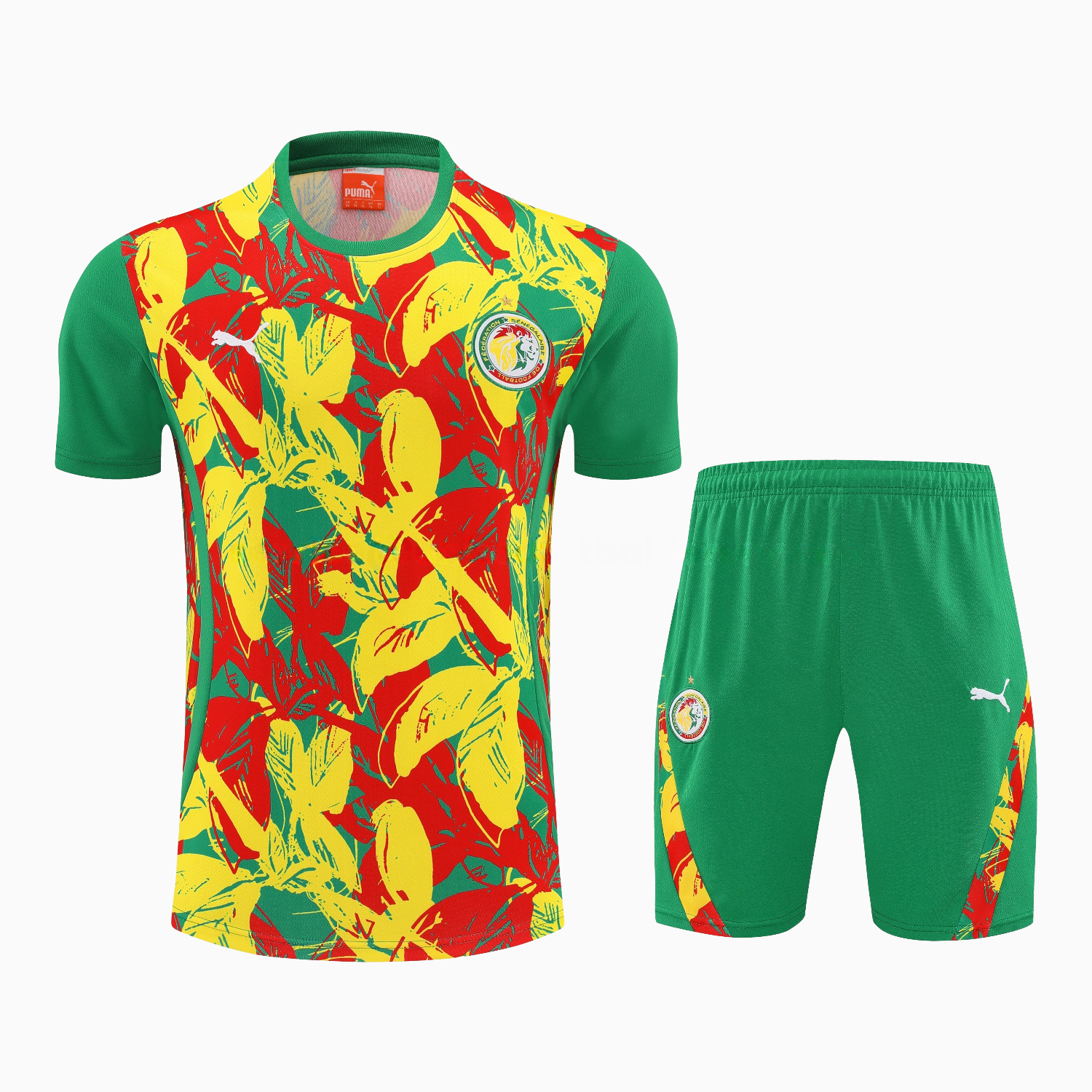 Senegal 2026 Short-Sleeve Training Set - Variegated Top and Green Shorts - Unitedfutballjersey