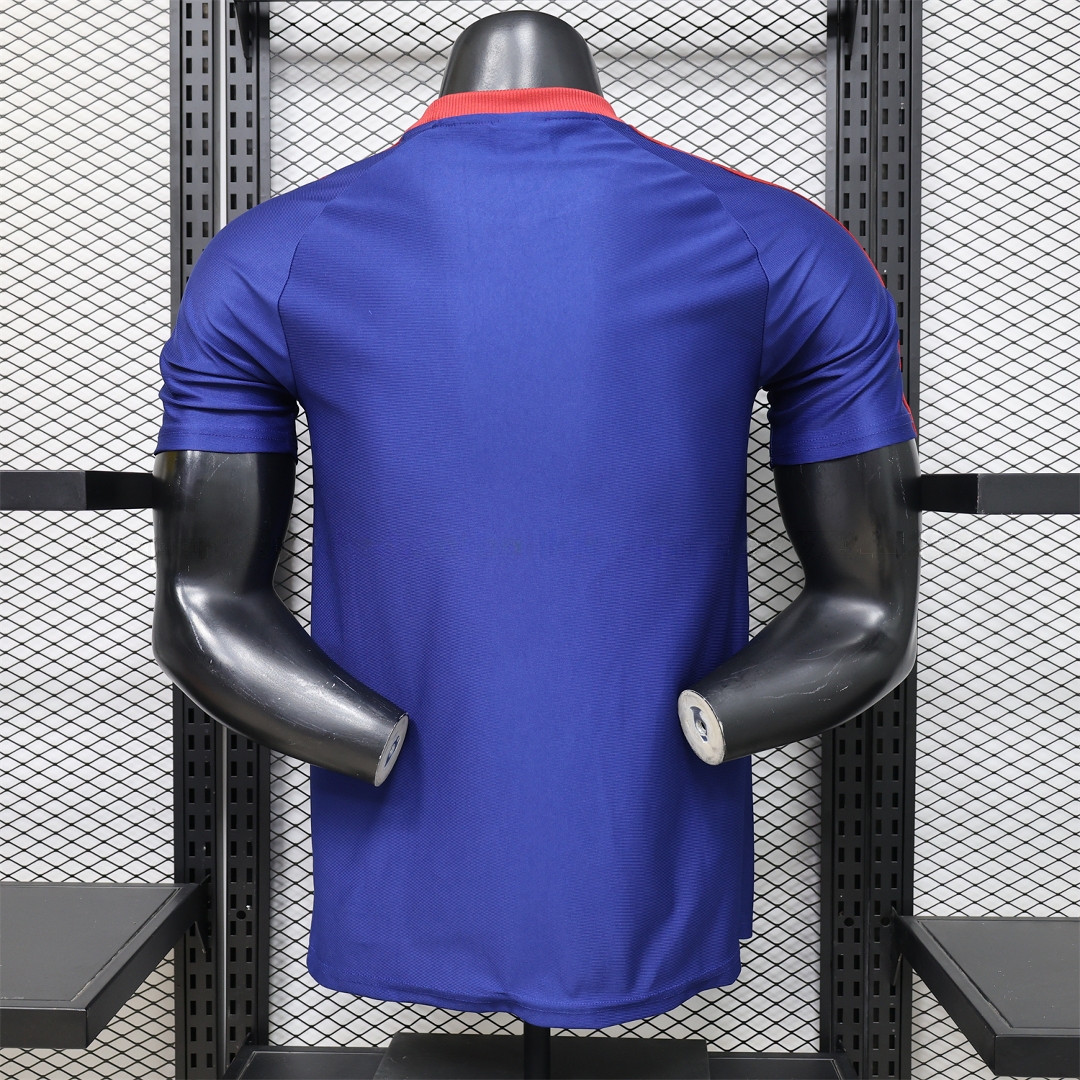 Newcastle United 25-26 Purple-Blue Casual Jersey - Player Version - Unitedfutballjersey