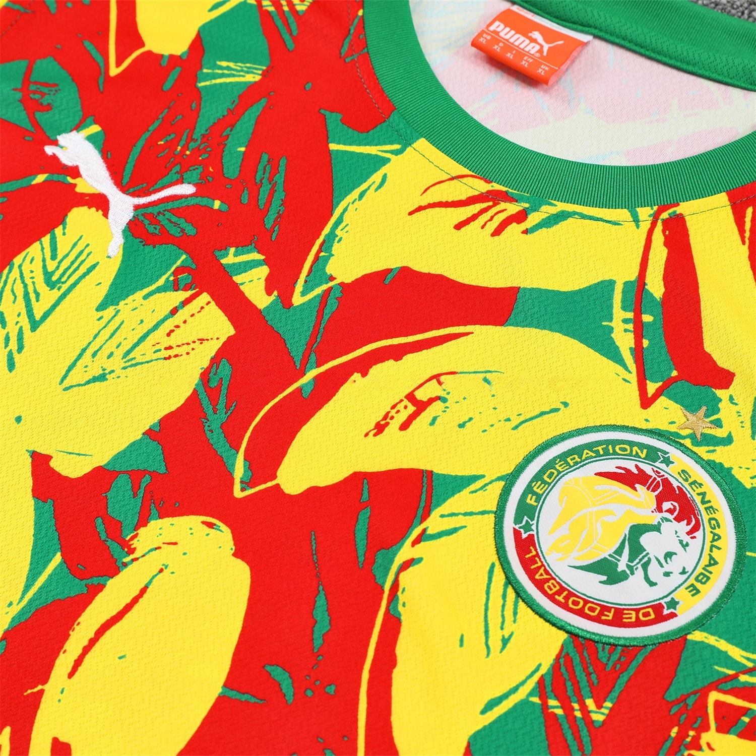 Senegal 2026 Vest Training Set - Variegated Vest and Green Shorts - Unitedfutballjersey