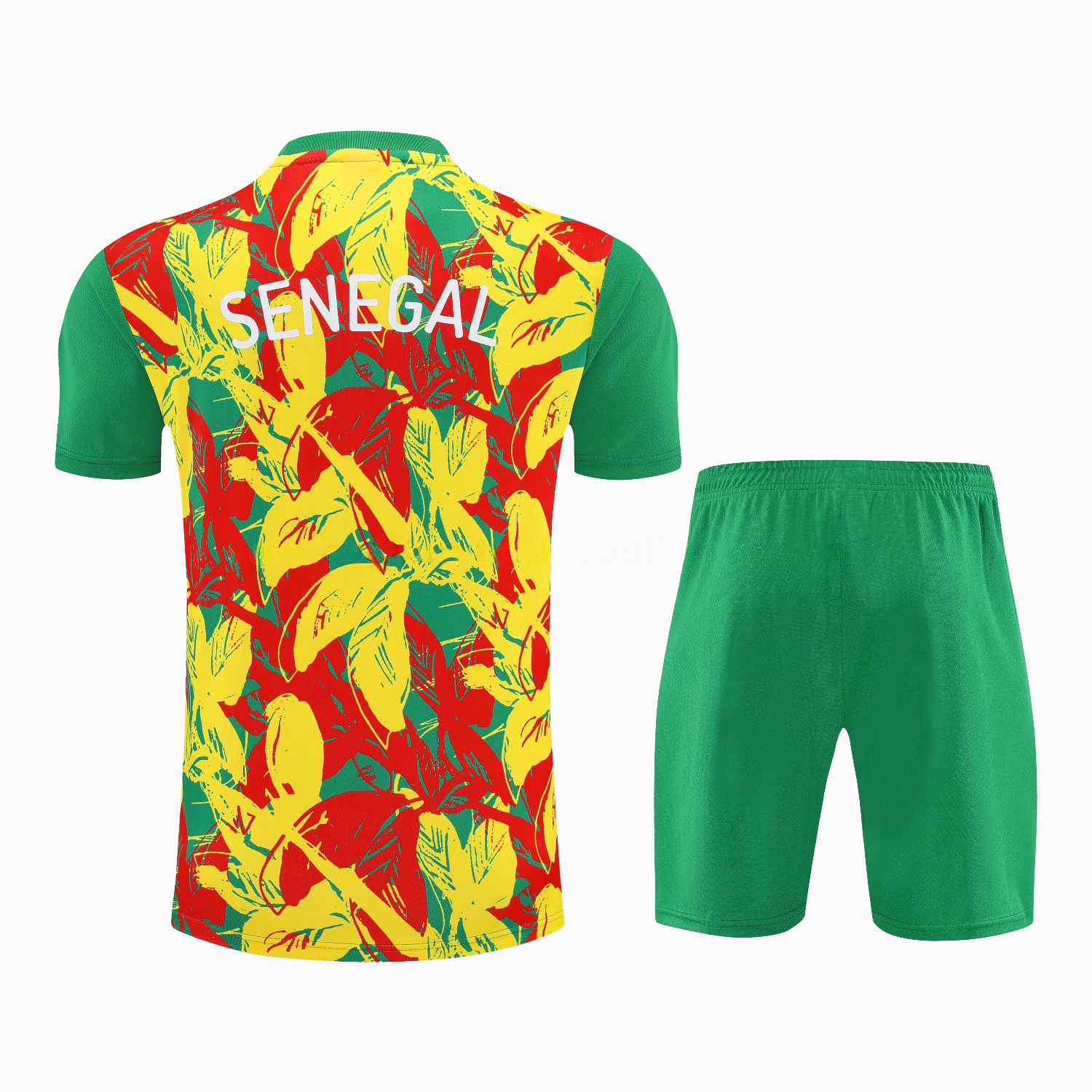 Senegal 2026 Short-Sleeve Training Set - Variegated Top and Green Shorts - Unitedfutballjersey