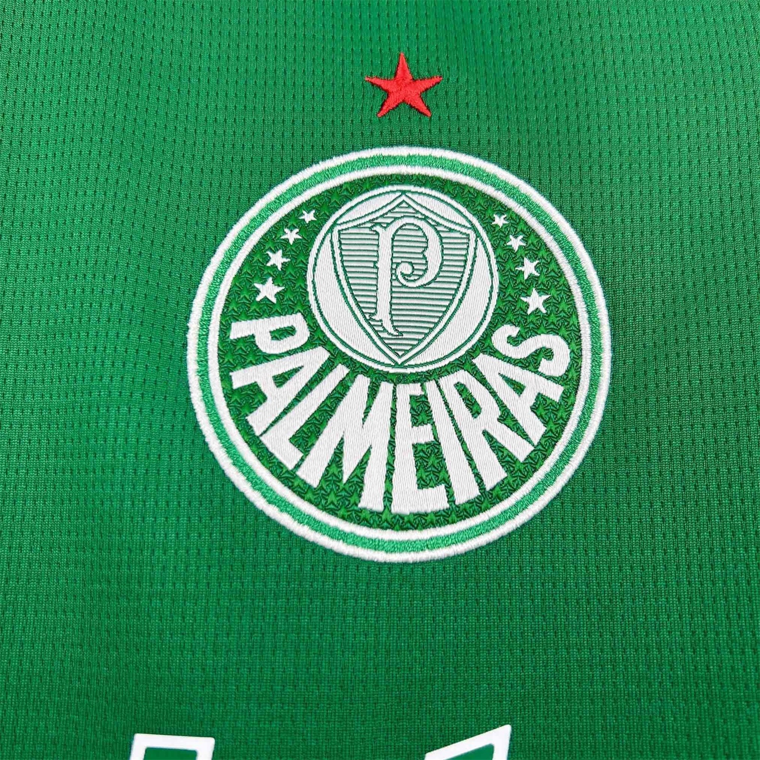 Women's Palmeiras 25-26 Home Jersey - Unitedfutballjersey
