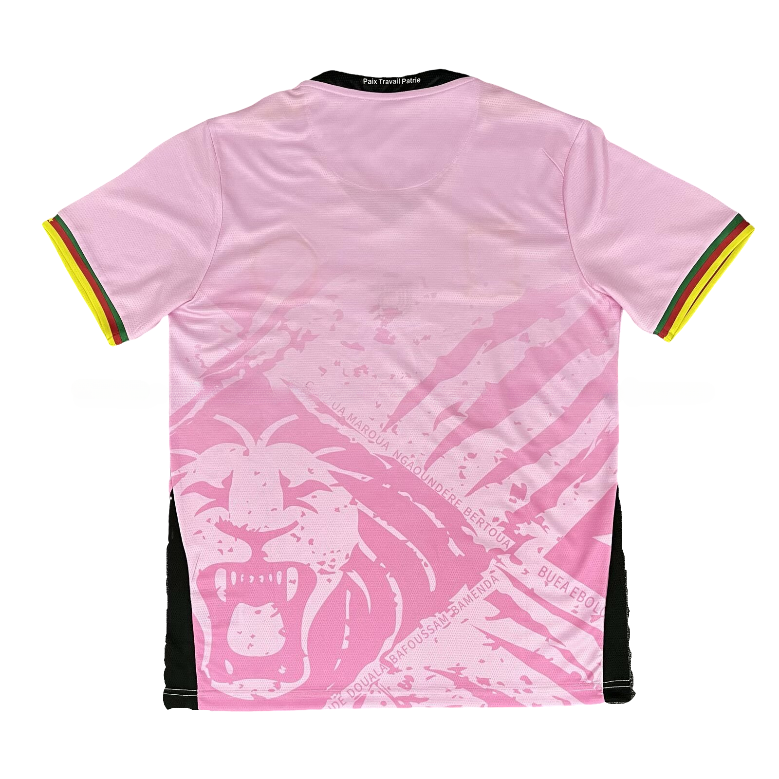 Cameroon 25-26 Pink Training Jersey - Fans Version - Unitedfutballjersey