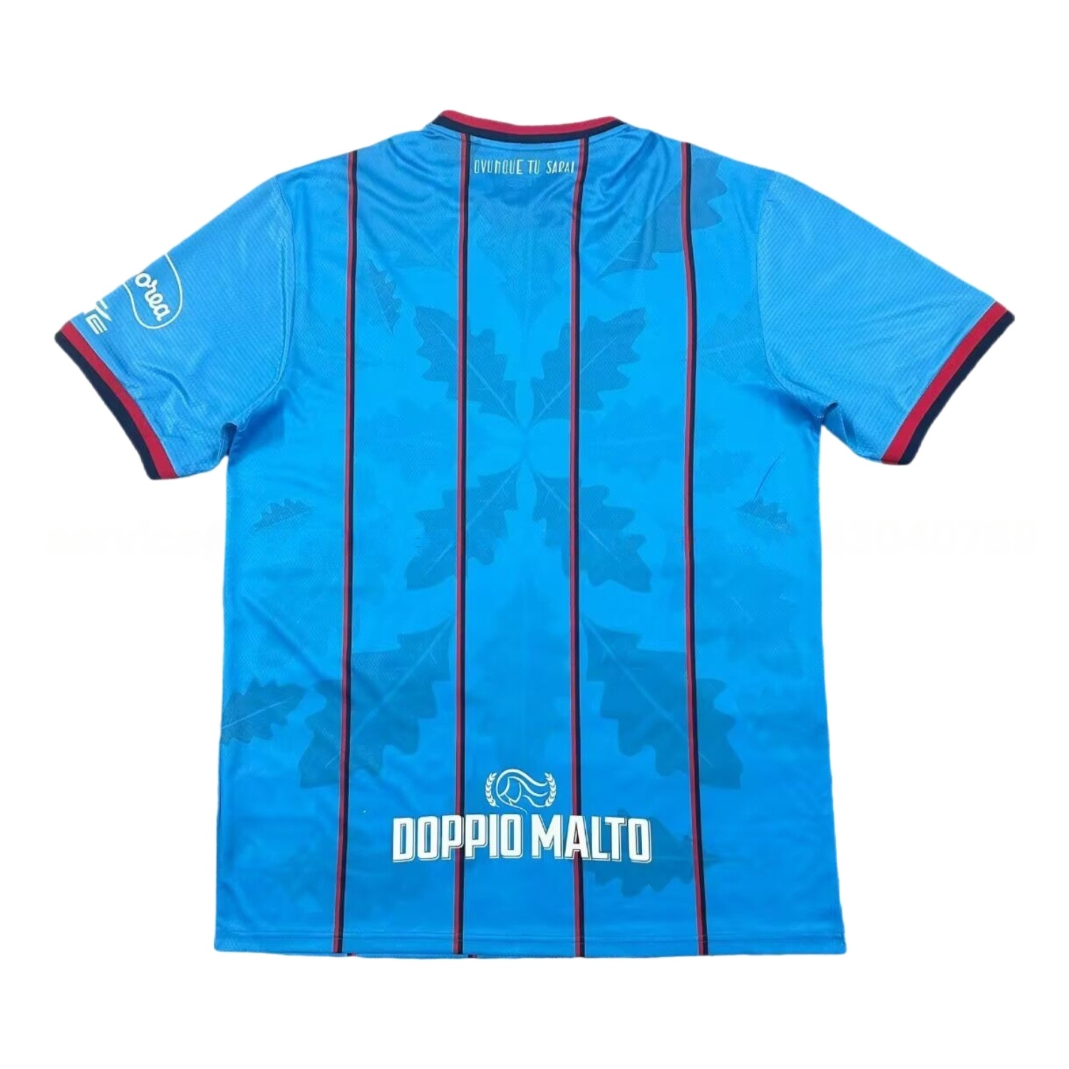 Cagliari Calcio 25-26 Third Jersey - Fans Version - Unitedfutballjersey