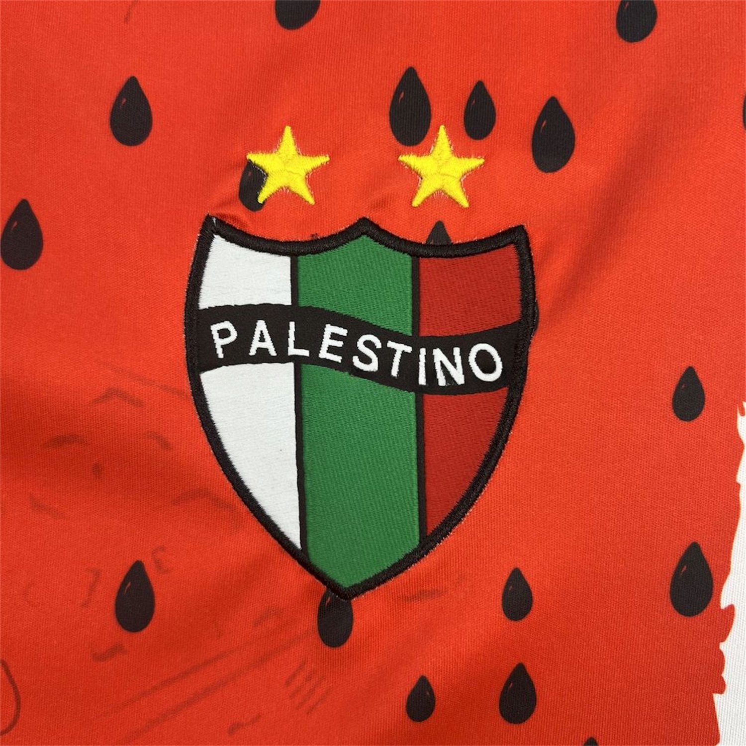 Club Deportivo Palestino 25-26 Third Jersey - Fans Version - Unitedfutballjersey