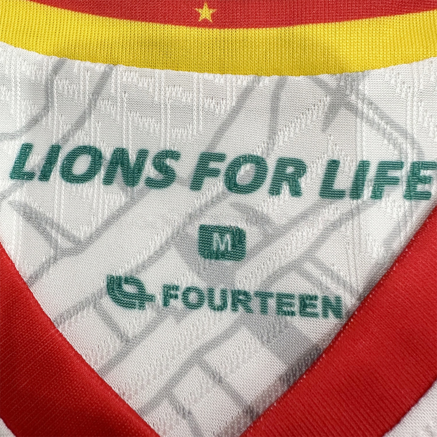 Cameroon 25-26 Third Jersey - Player Version - Unitedfutballjersey