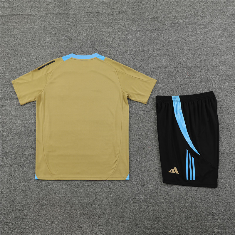 Argentina 2024 Short-Sleeve Training Set - Gold - Unitedfutballjersey