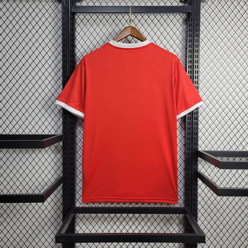 Bayern Munich 24-25 Red Training Jersey - Fans Version - Unitedfutballjersey