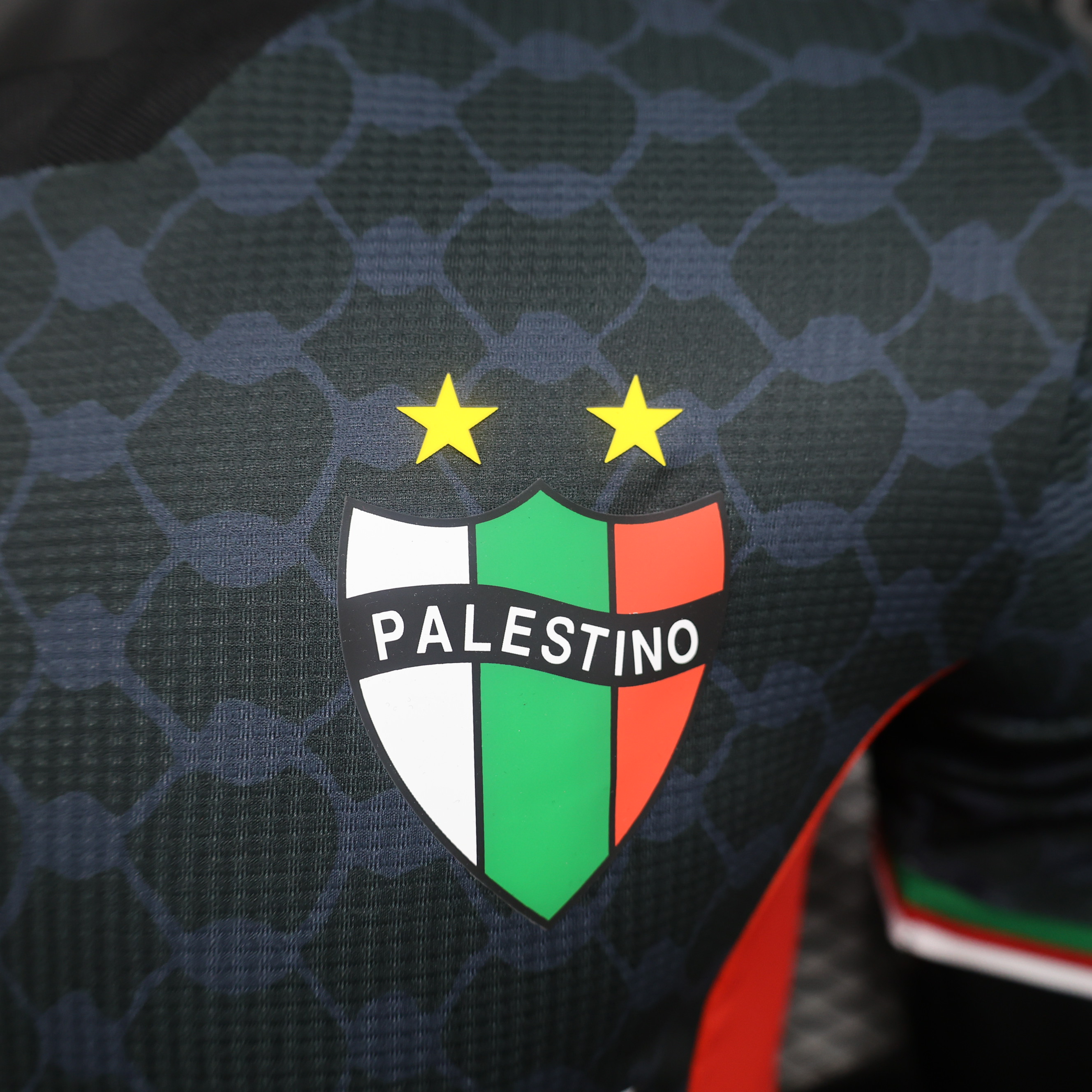 Club Deportivo Palestino 2024 Away Jersey - Player Version - Unitedfutballjersey