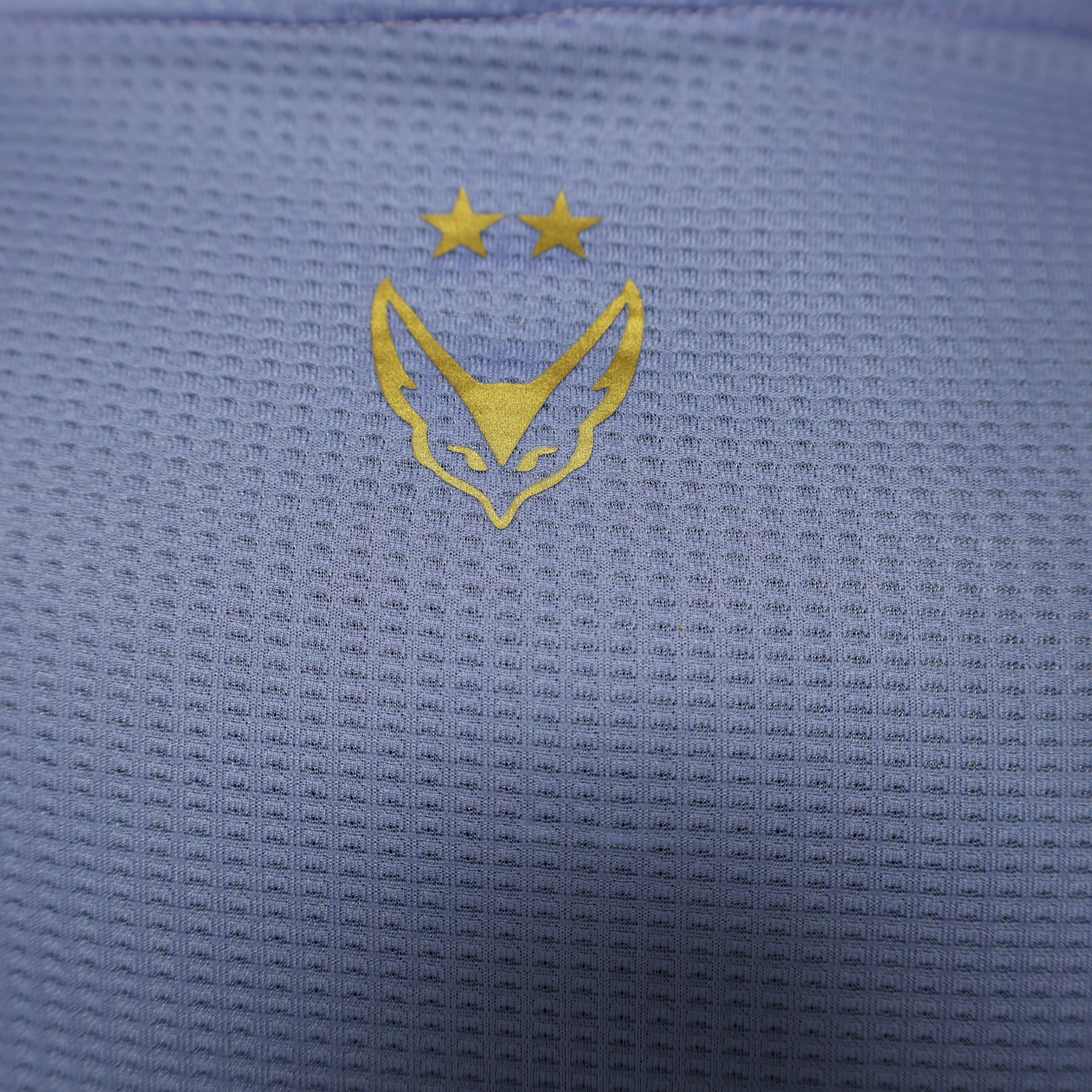 Algeria 23-24 Purple Jersey - Player Version - Unitedfutballjersey