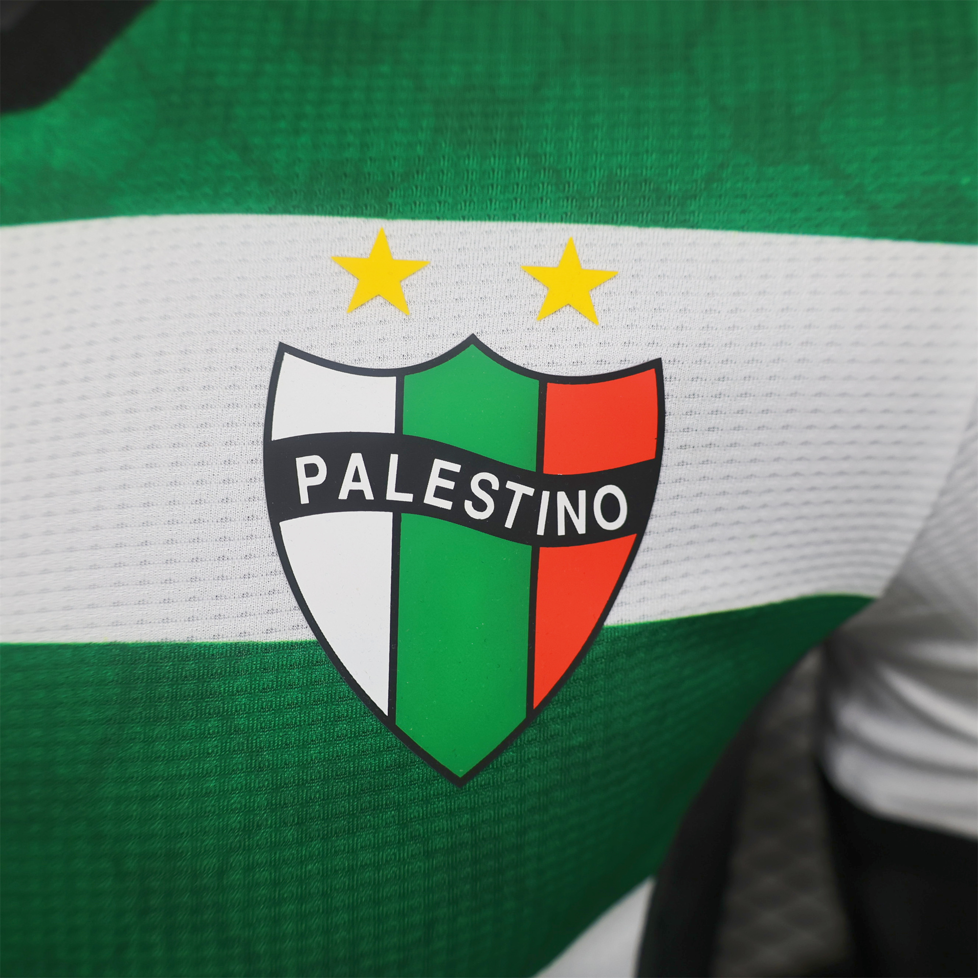 Club Deportivo Palestino 2024 Third Jersey - Player Version - Unitedfutballjersey