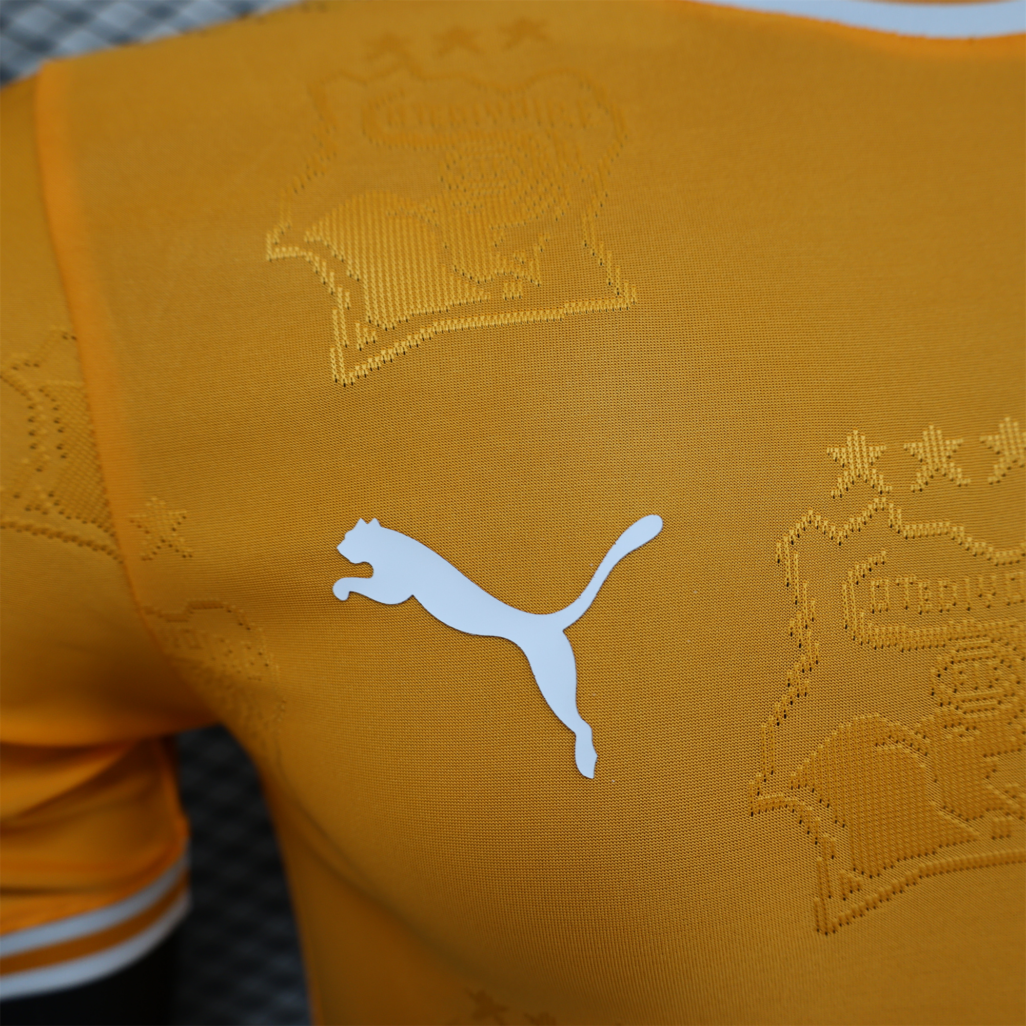 Ivory Coast 2024 Orange Elephant Special Edition Jersey - Player Version - Unitedfutballjersey