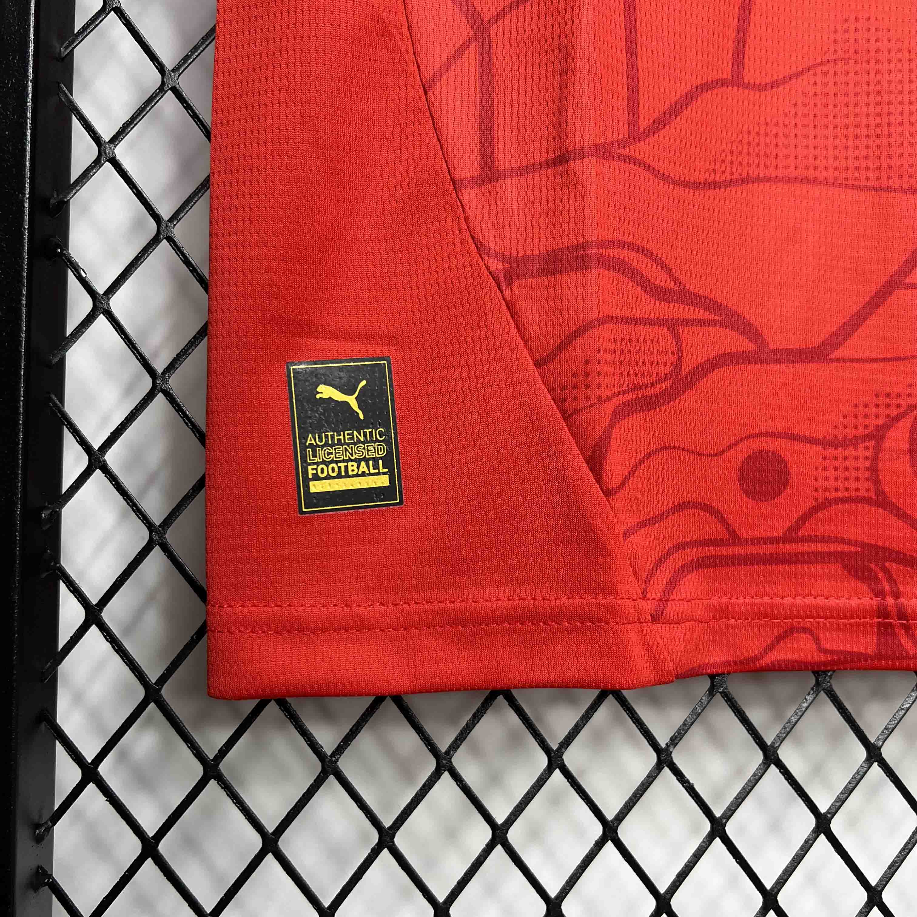 Austria 2024 Home Stadium Jersey - Fans Version - Unitedfutballjersey