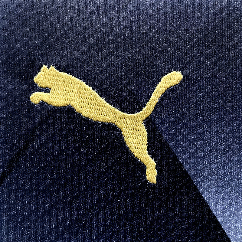 Retro Leicester City 2015-16 Away Jersey - Unitedfutballjersey