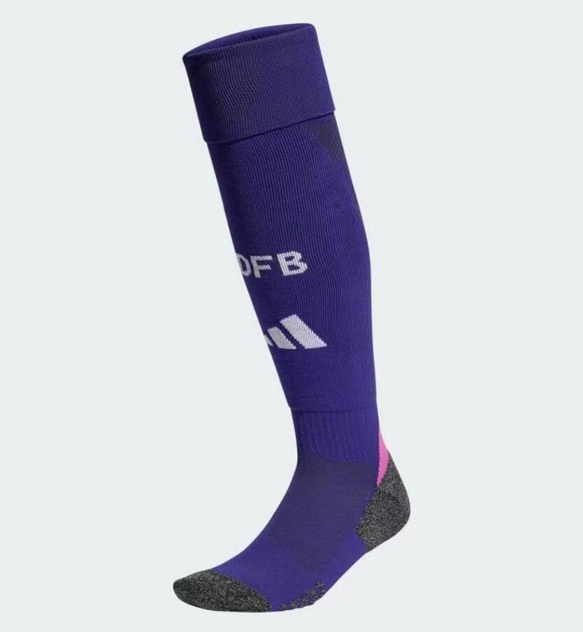 Germany 2024 Away Socks - Purple - Unitedfutballjersey