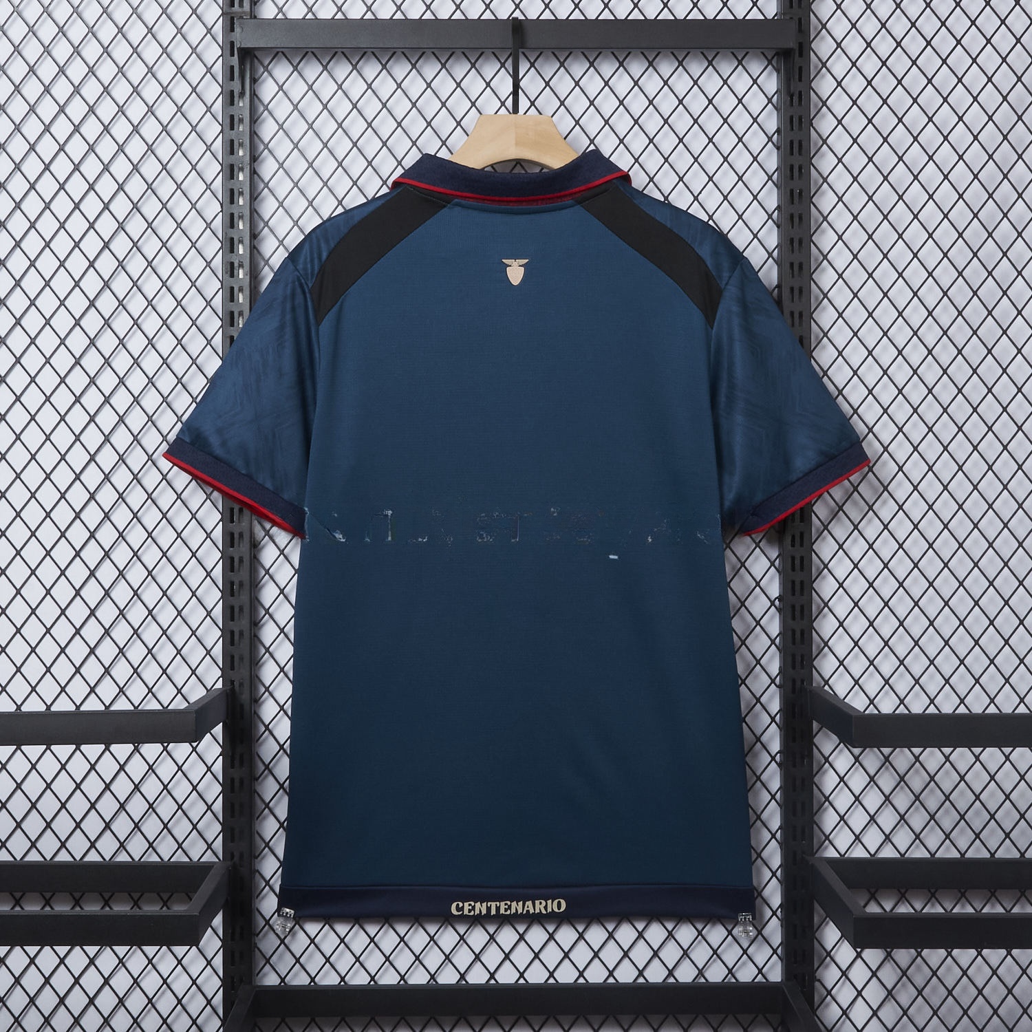 Ecuador 2025 Centenary Away Jersey - Fans Version - Unitedfutballjersey