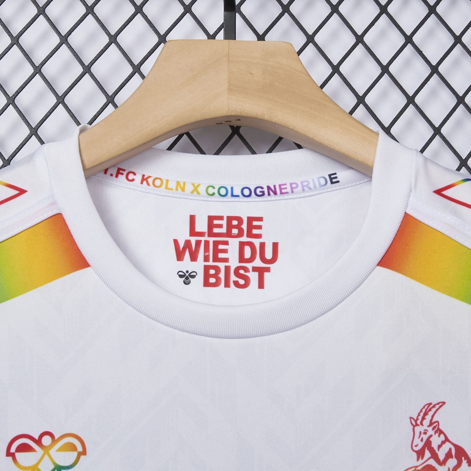 1. FC Köln 2024-25 Pride Diversity Special Edition Jersey - Fans Version - Unitedfutballjersey