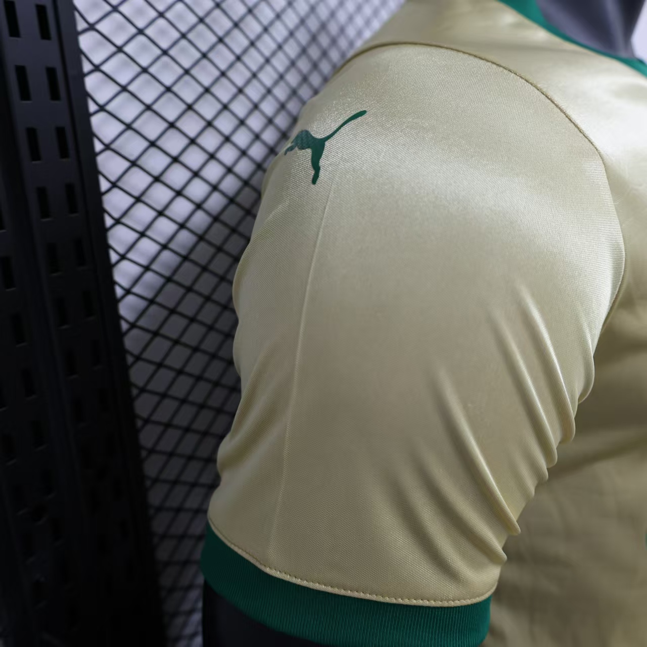 Palmeiras 2024 110-Year Anniversary Jersey - Player Version - Unitedfutballjersey