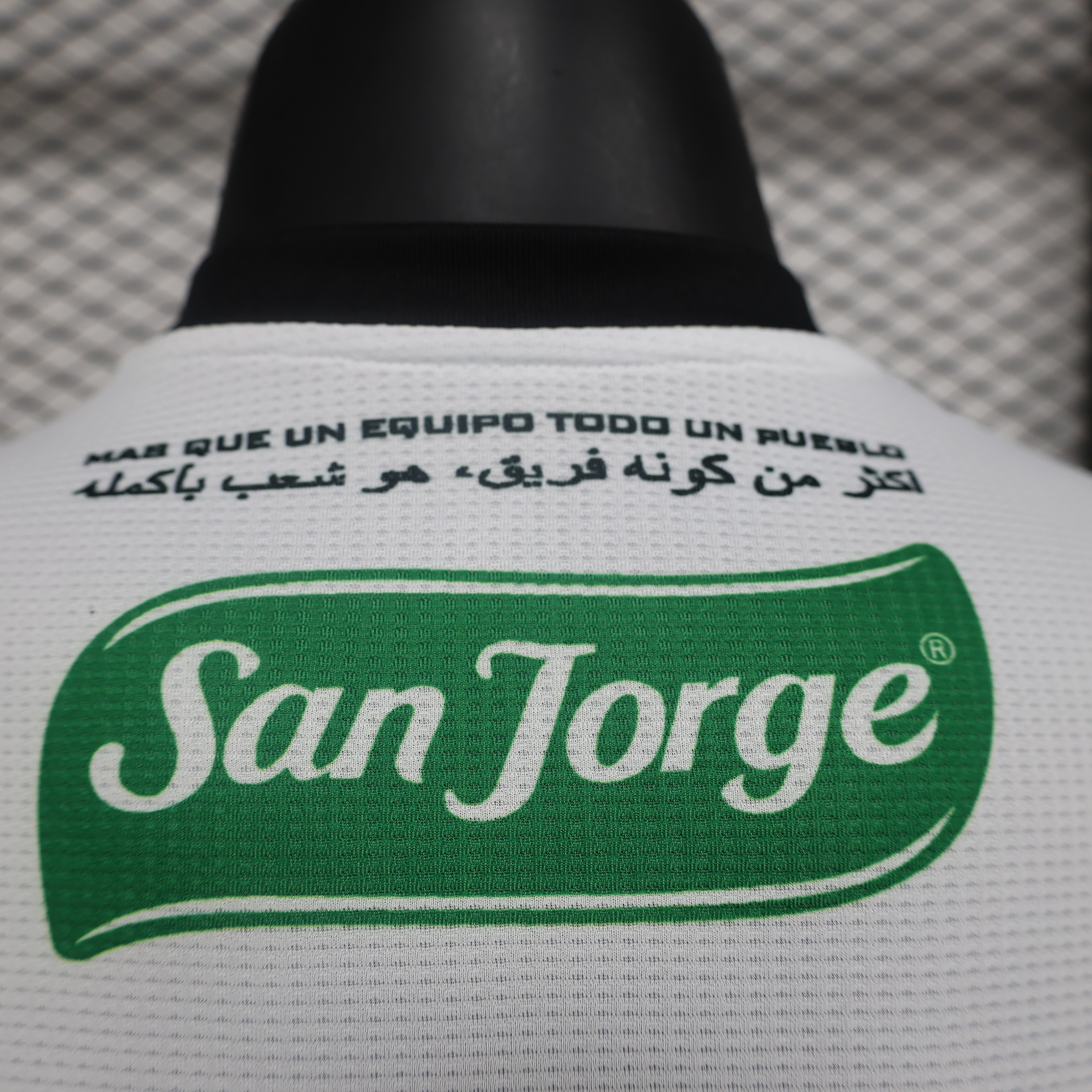 Club Deportivo Palestino 2024 Home Jersey - Player Version - Unitedfutballjersey