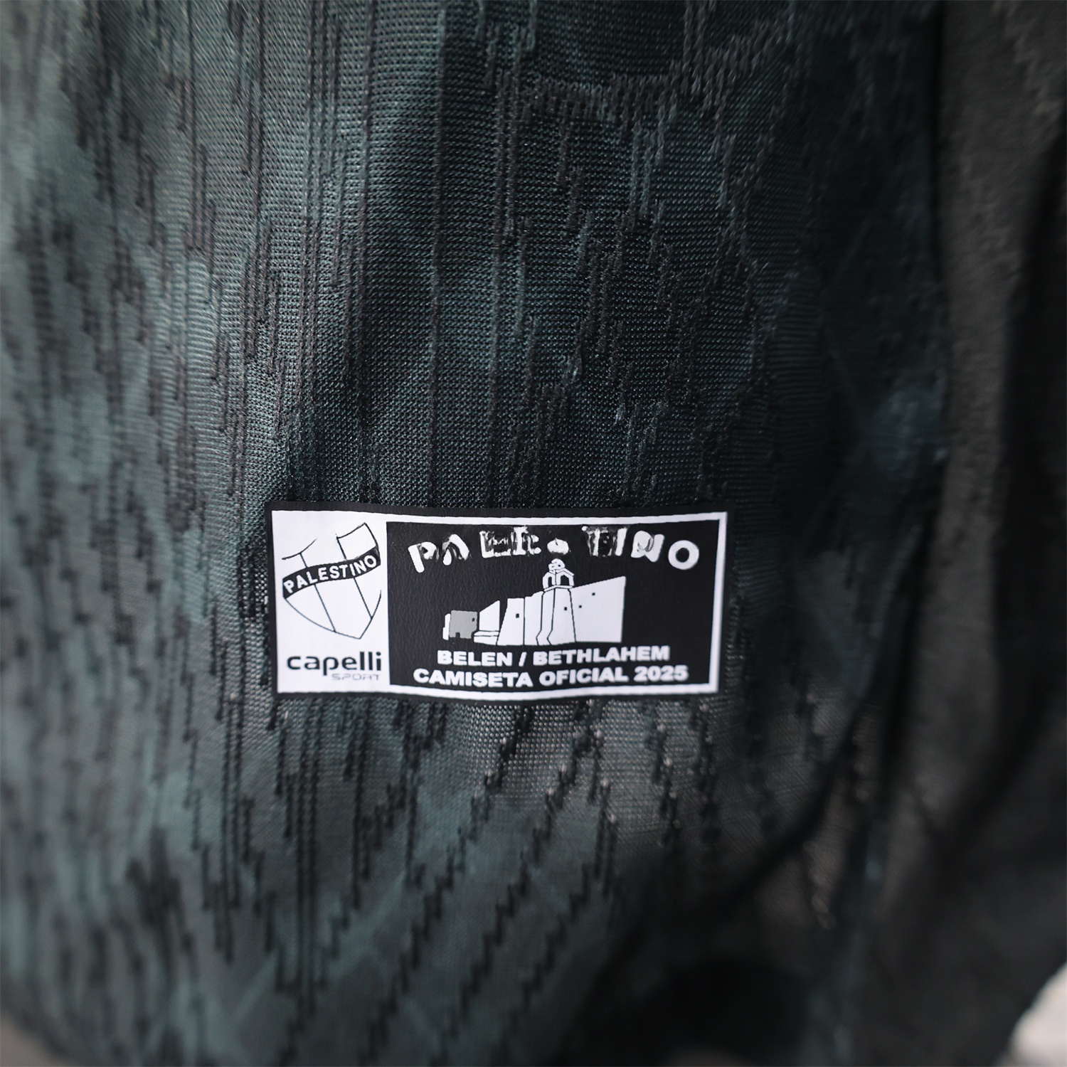 Club Deportivo Palestino 25-26 Away Jersey - Player Version - Unitedfutballjersey