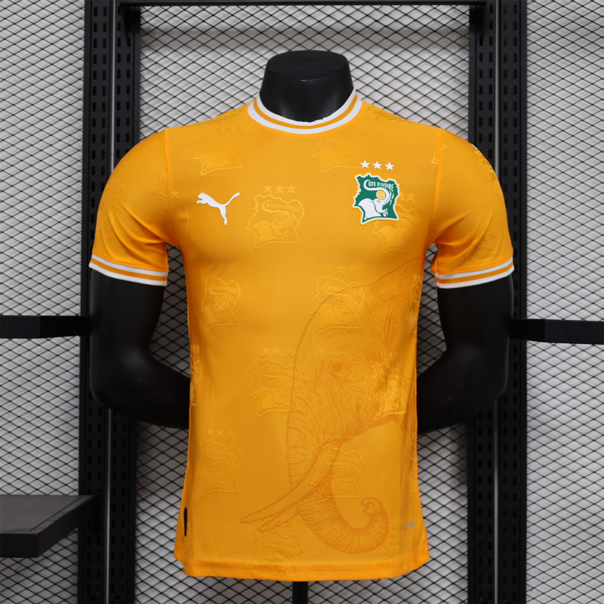Ivory Coast 2024 Orange Elephant Special Edition Jersey - Player Version - Unitedfutballjersey