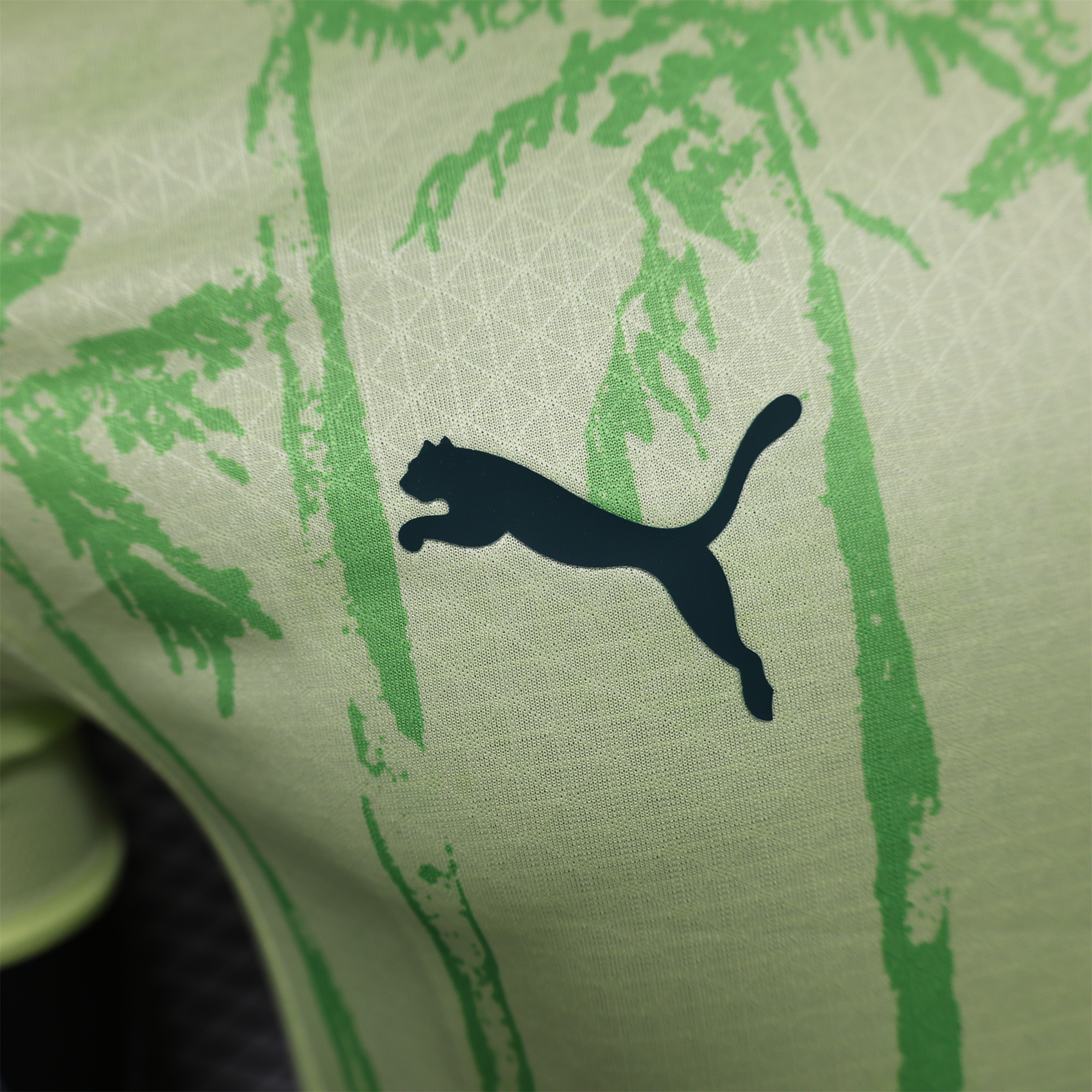 Palmeiras 2025 Away (Informal-release Version) Jersey - Player Version - Unitedfutballjersey