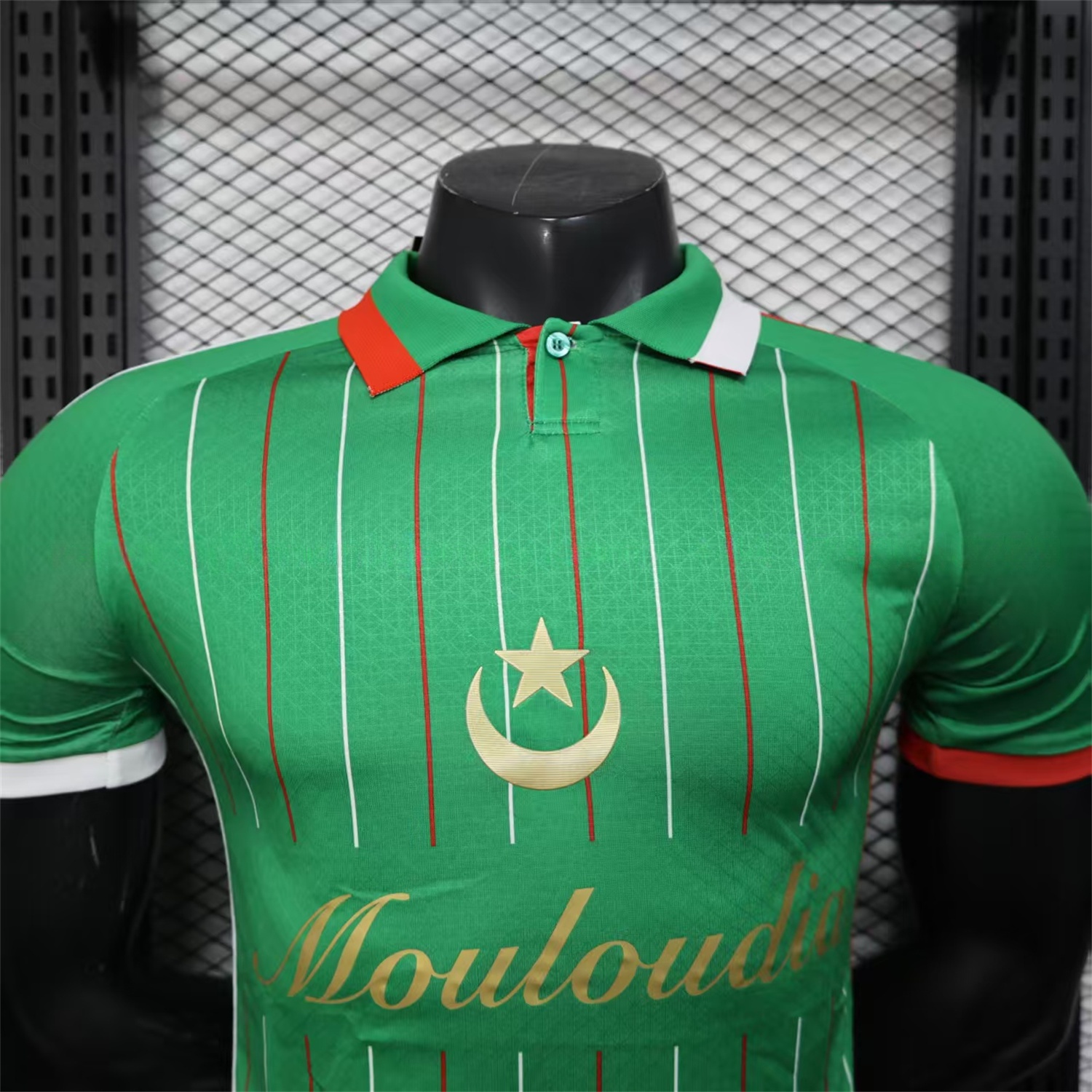 Club Deportivo Palestino Palestine 25-26 Green Special Jersey - Player Version - Unitedfutballjersey