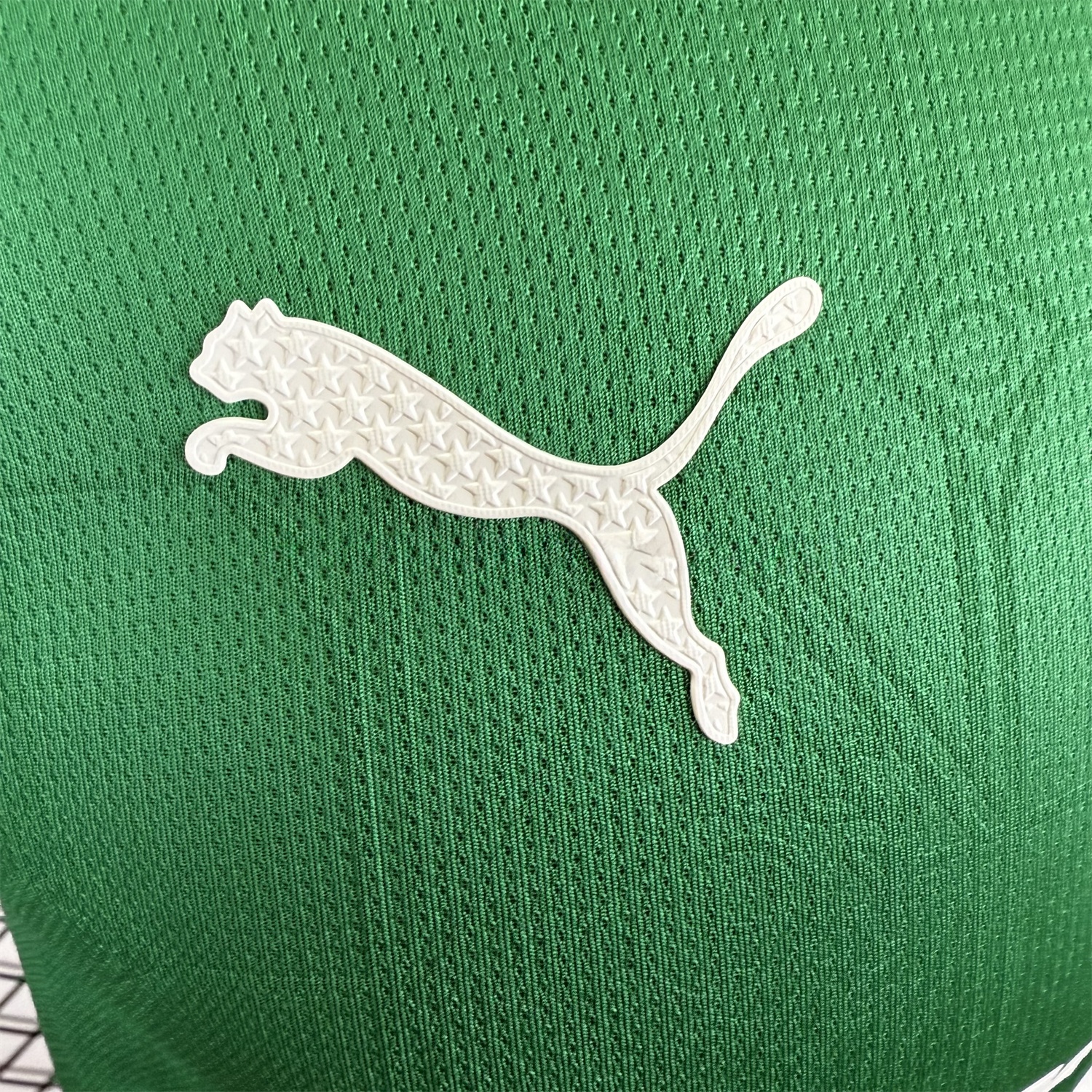 Palmeiras 2025-26 Home Jersey - Player Version - Unitedfutballjersey