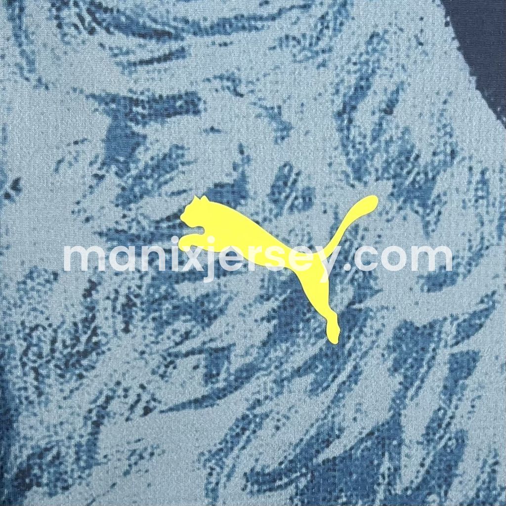 Fenerbahce 24-25 Fourth Jersey - Fans Version - Unitedfutballjersey