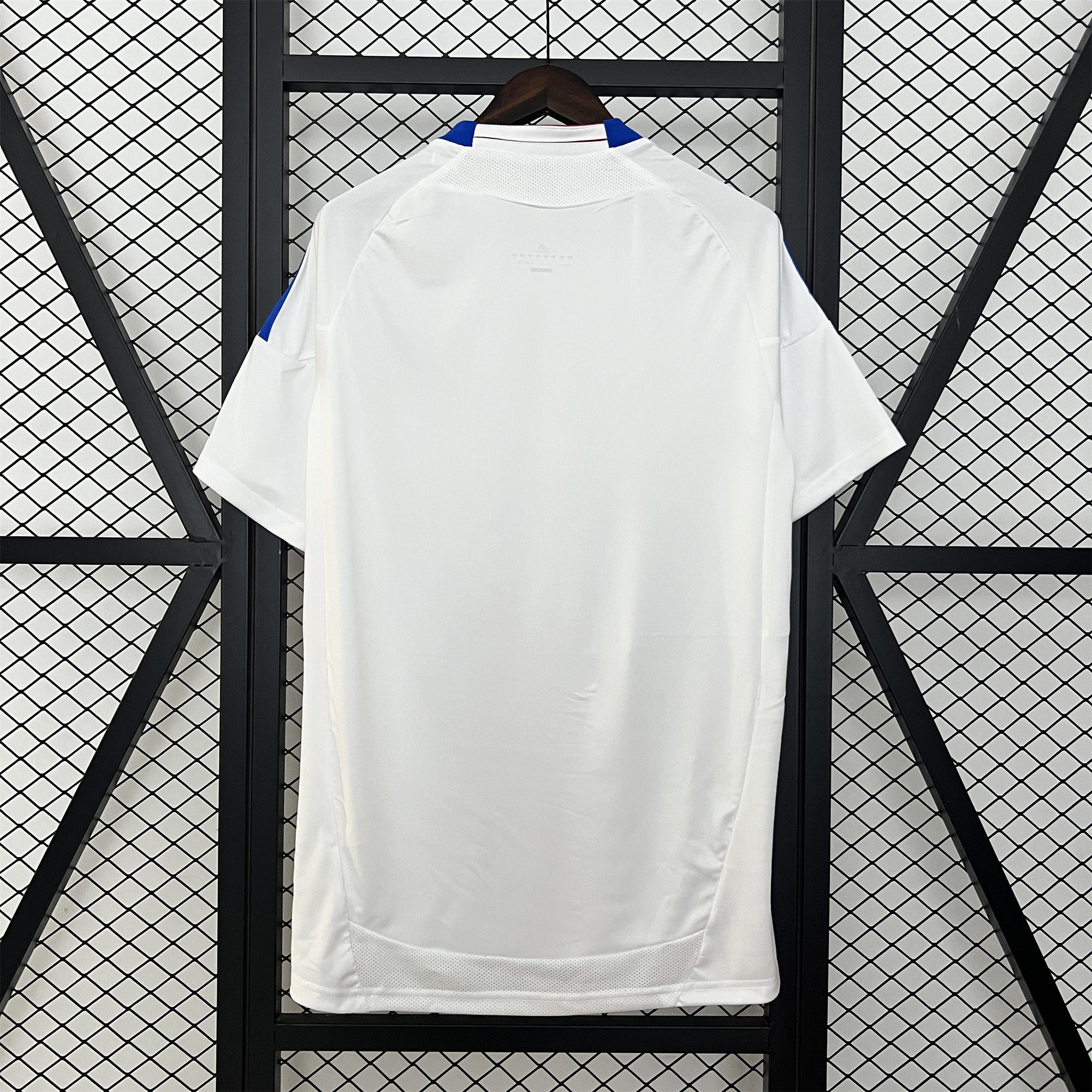 Retro Olympique Lyonnais Lyon 2010-11 Home Jersey - Unitedfutballjersey