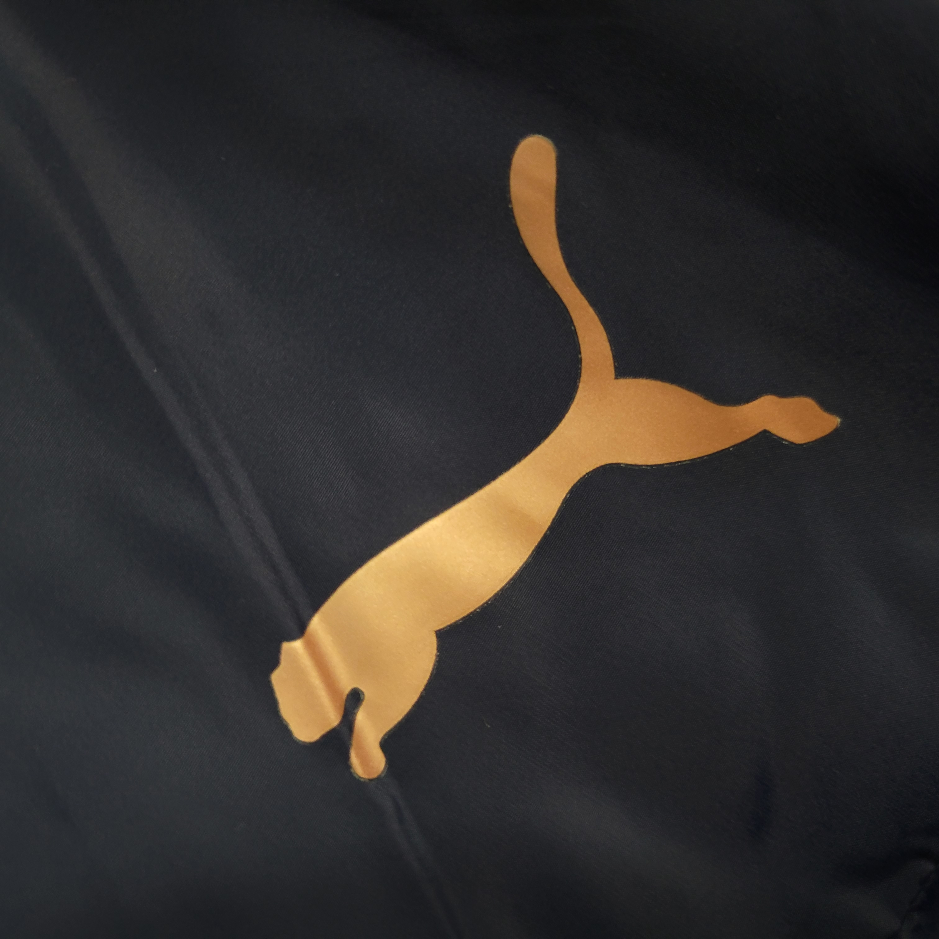 Italy 23-24 Men's Hooded Thermal Cotton Jacket - Blue - Unitedfutballjersey