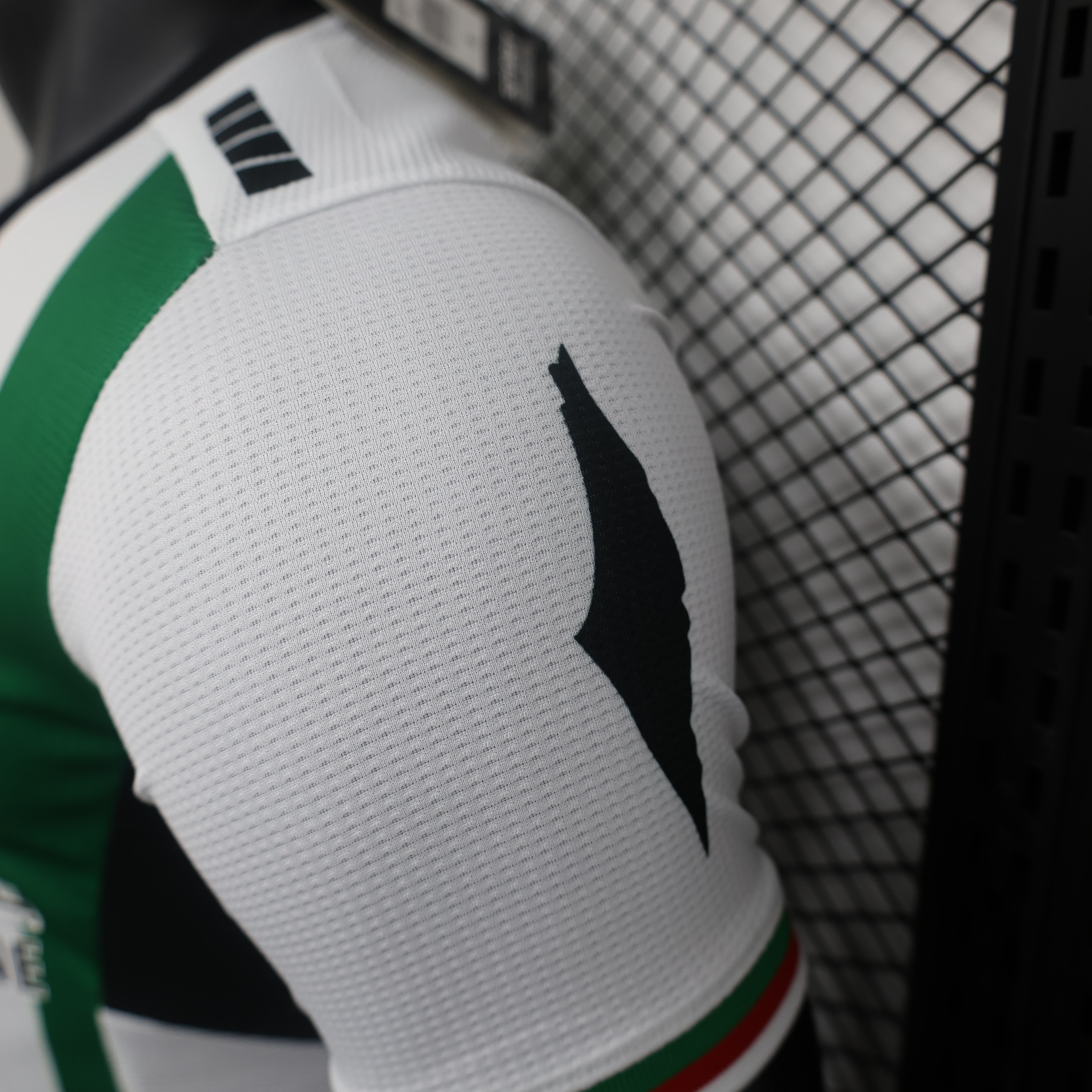 Club Deportivo Palestino 2024 Home Jersey - Player Version - Unitedfutballjersey