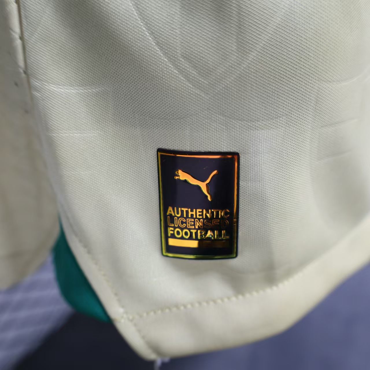 Palmeiras 2024 110-Year Anniversary Jersey - Player Version - Unitedfutballjersey