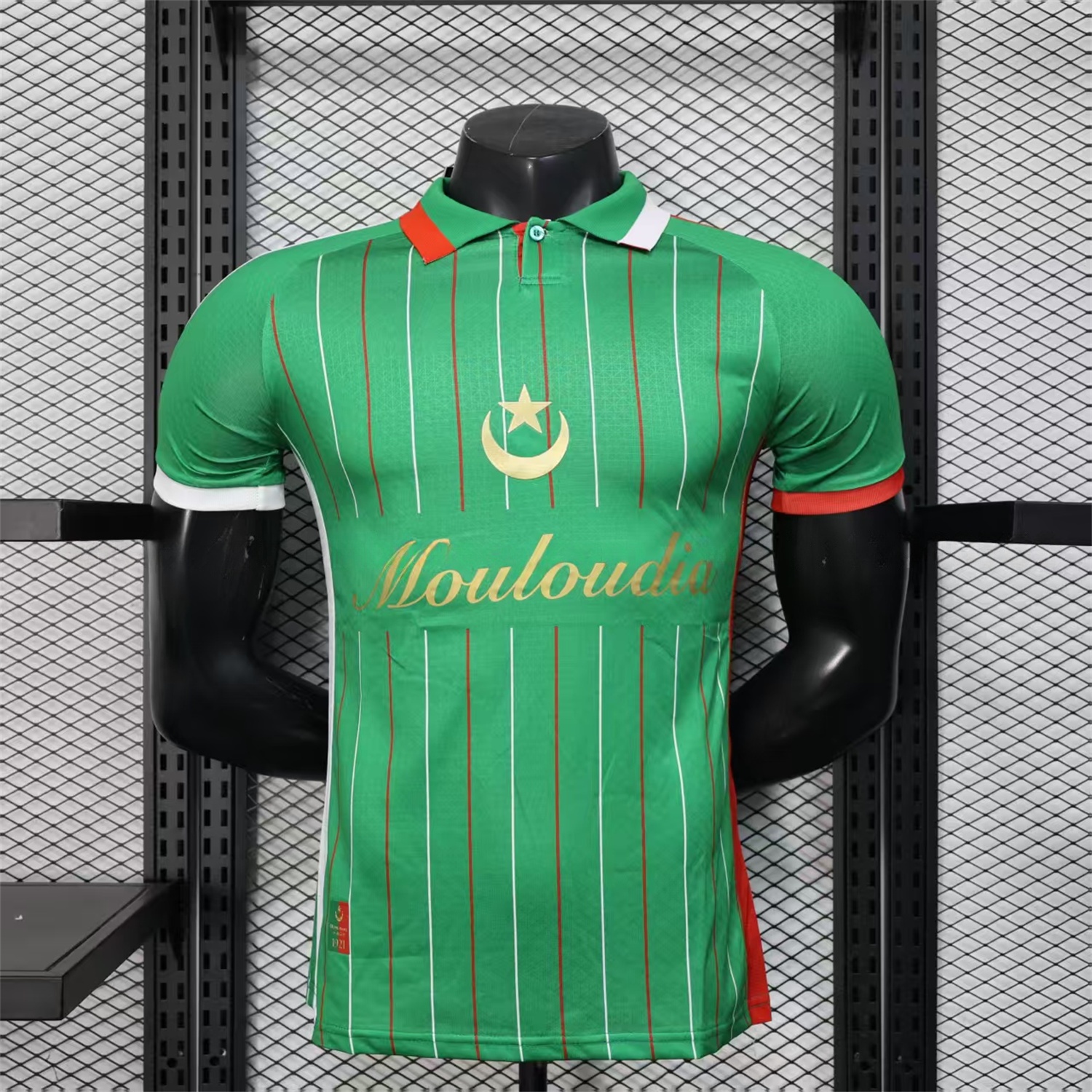Club Deportivo Palestino Palestine 25-26 Green Special Jersey - Player Version - Unitedfutballjersey
