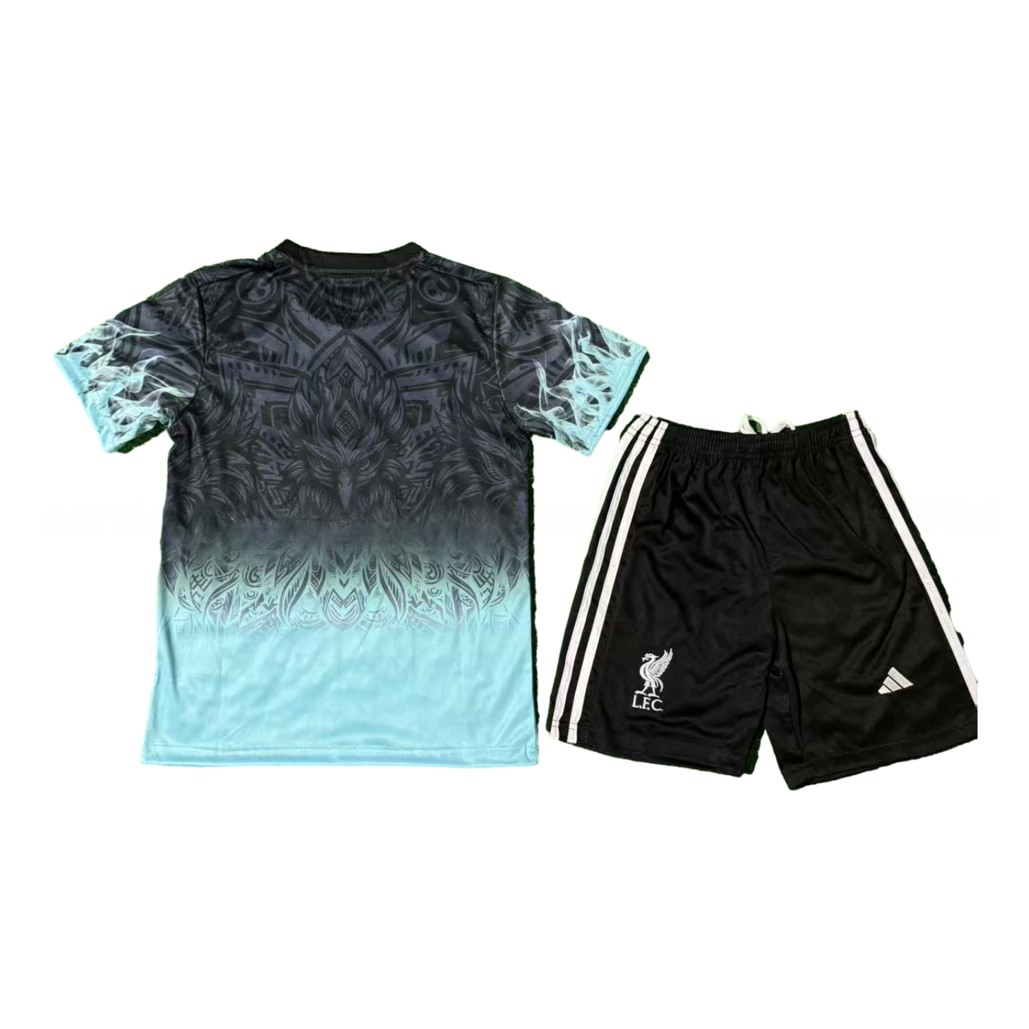 Liver.pool 25-26 Blue Liver.pool Bird Black Special Kids Kit - Unitedfutballjersey