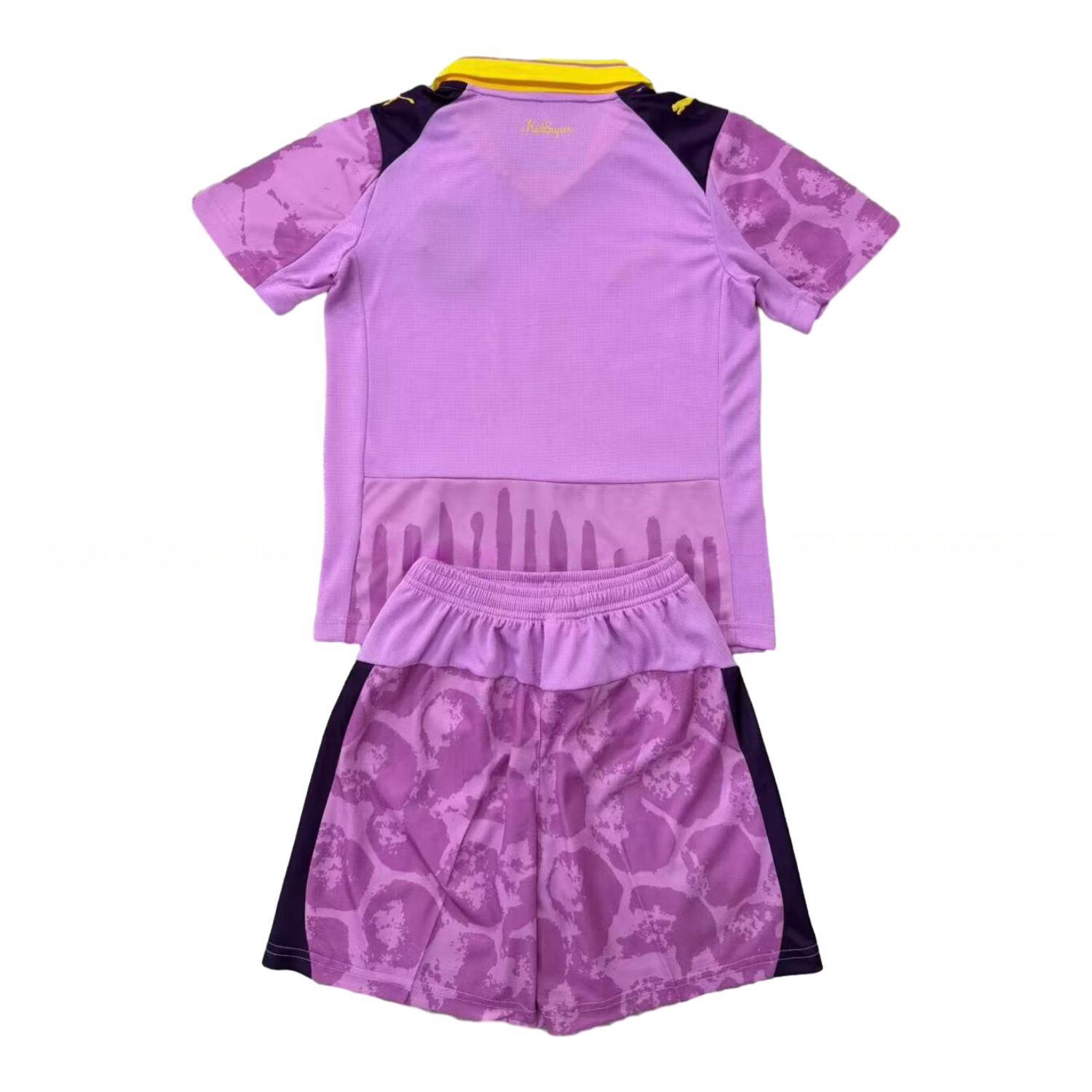 Dortmund 2025 Club World Cup Goalkeeper Purple Men's Adult Jersey Set - Fans Version - Unitedfutballjersey