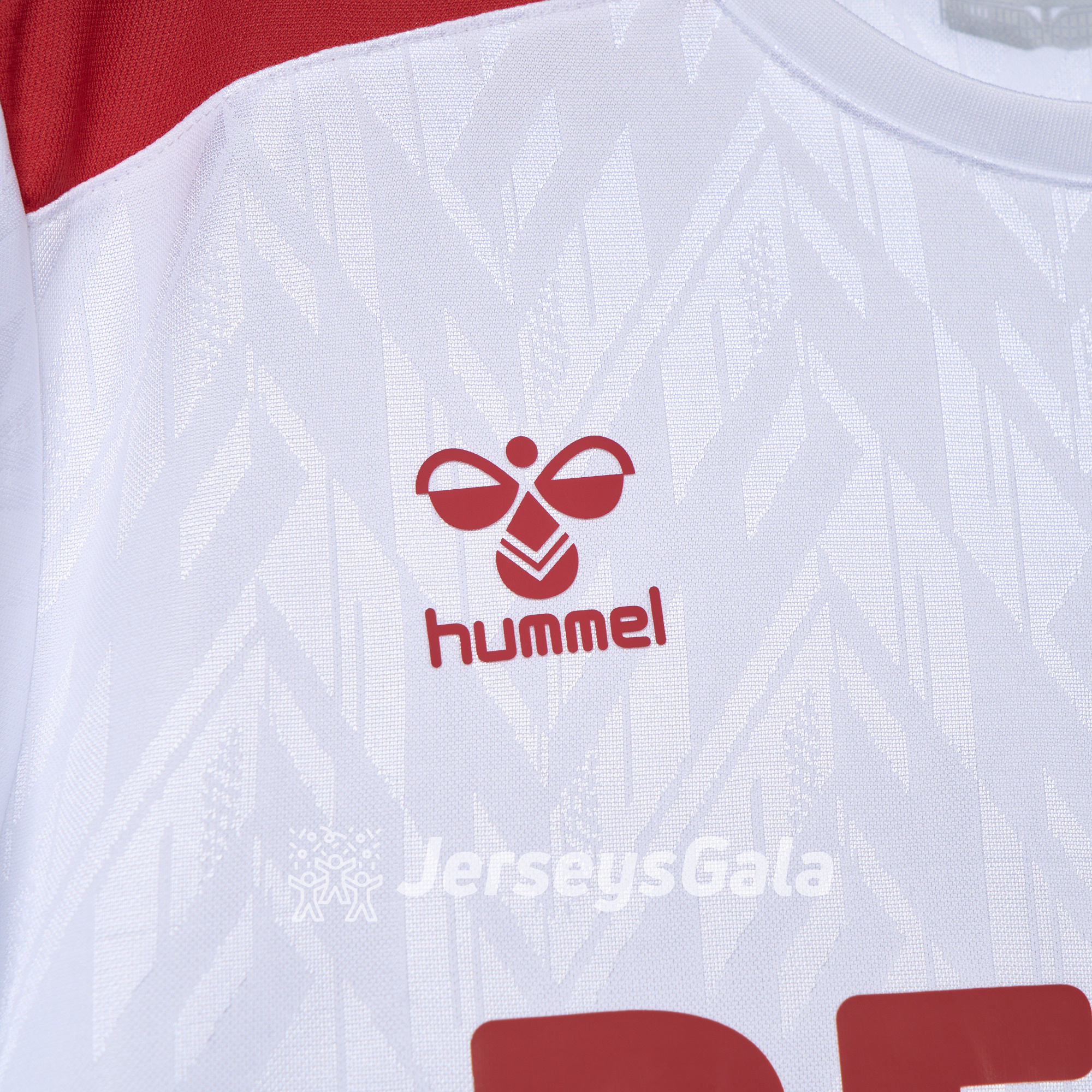 1. FC Köln 24-25 Home Jersey - Fans Version - Unitedfutballjersey