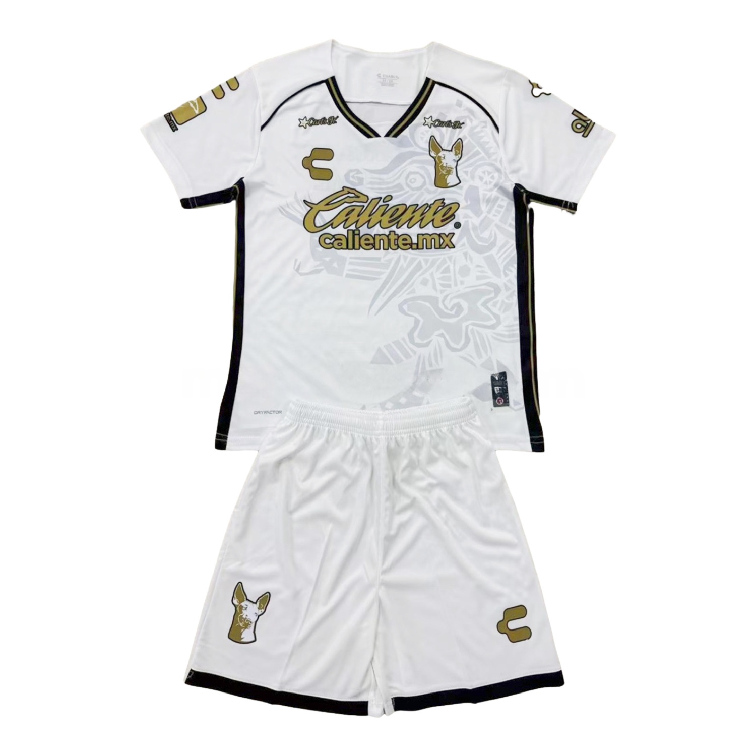 Club Tijuana 24-25 Away Men's Adult Jersey Set - Fans Version - Unitedfutballjersey