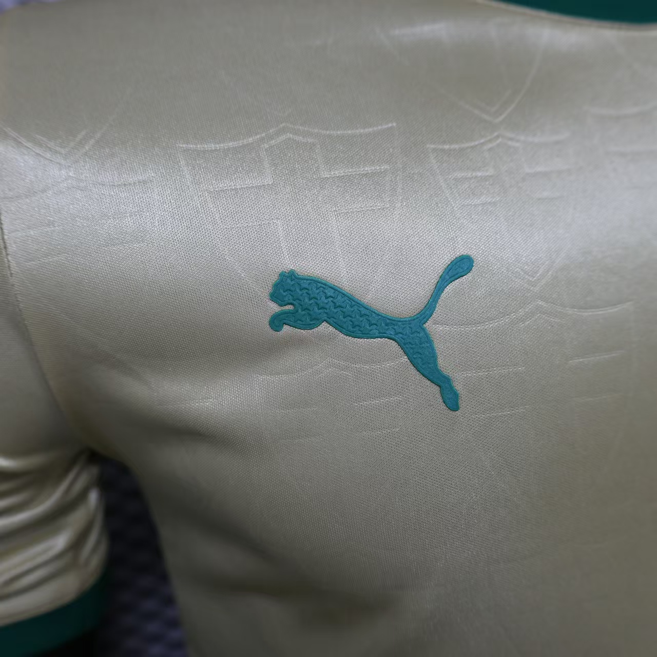 Palmeiras 2024 110-Year Anniversary Jersey - Player Version - Unitedfutballjersey