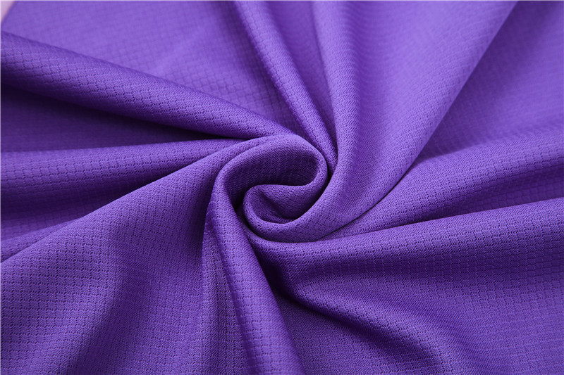 Germany 2024 Short-Sleeve Training Set - Purple - Unitedfutballjersey