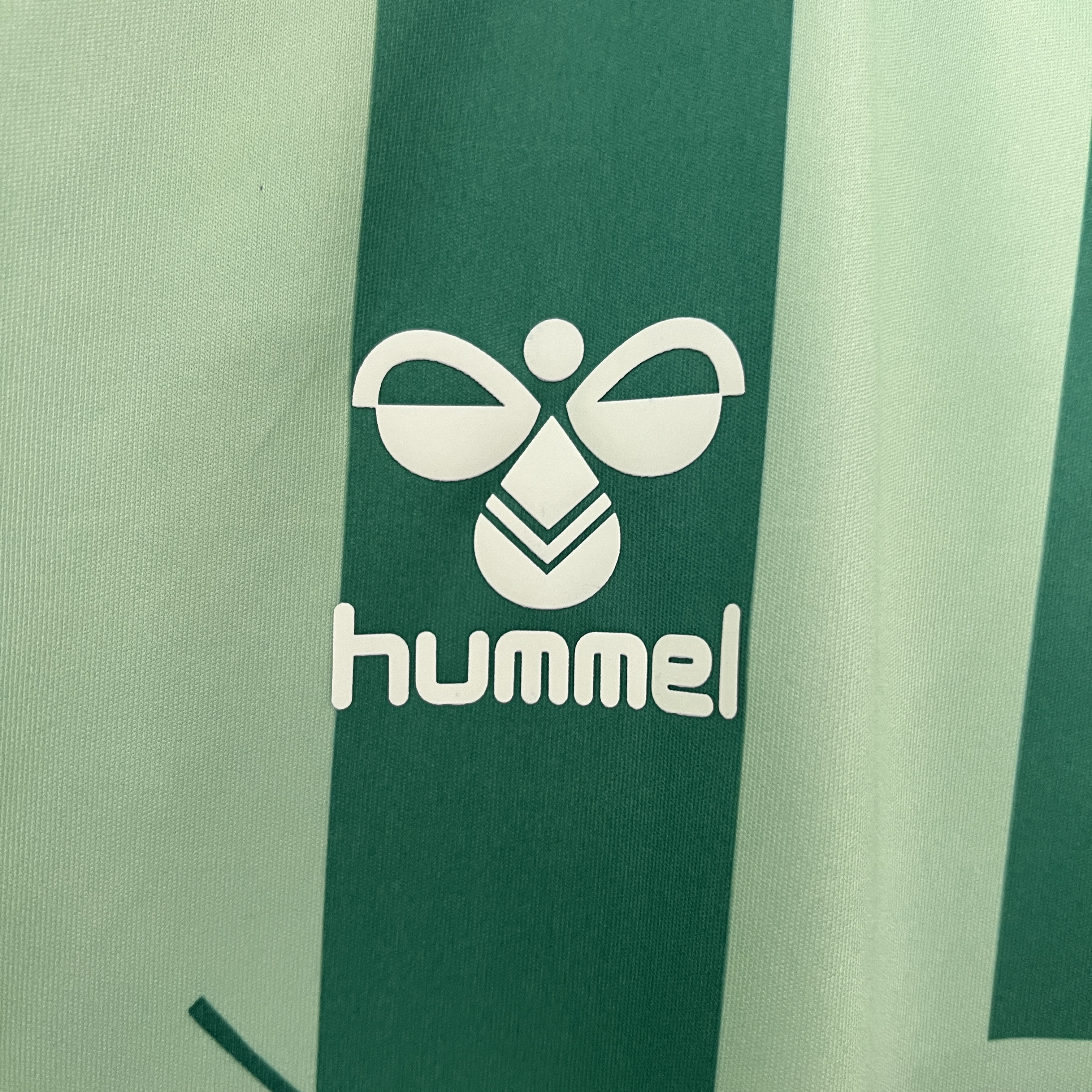 Real Betis 24-25 Special Edition Jersey - Fans Version - Unitedfutballjersey