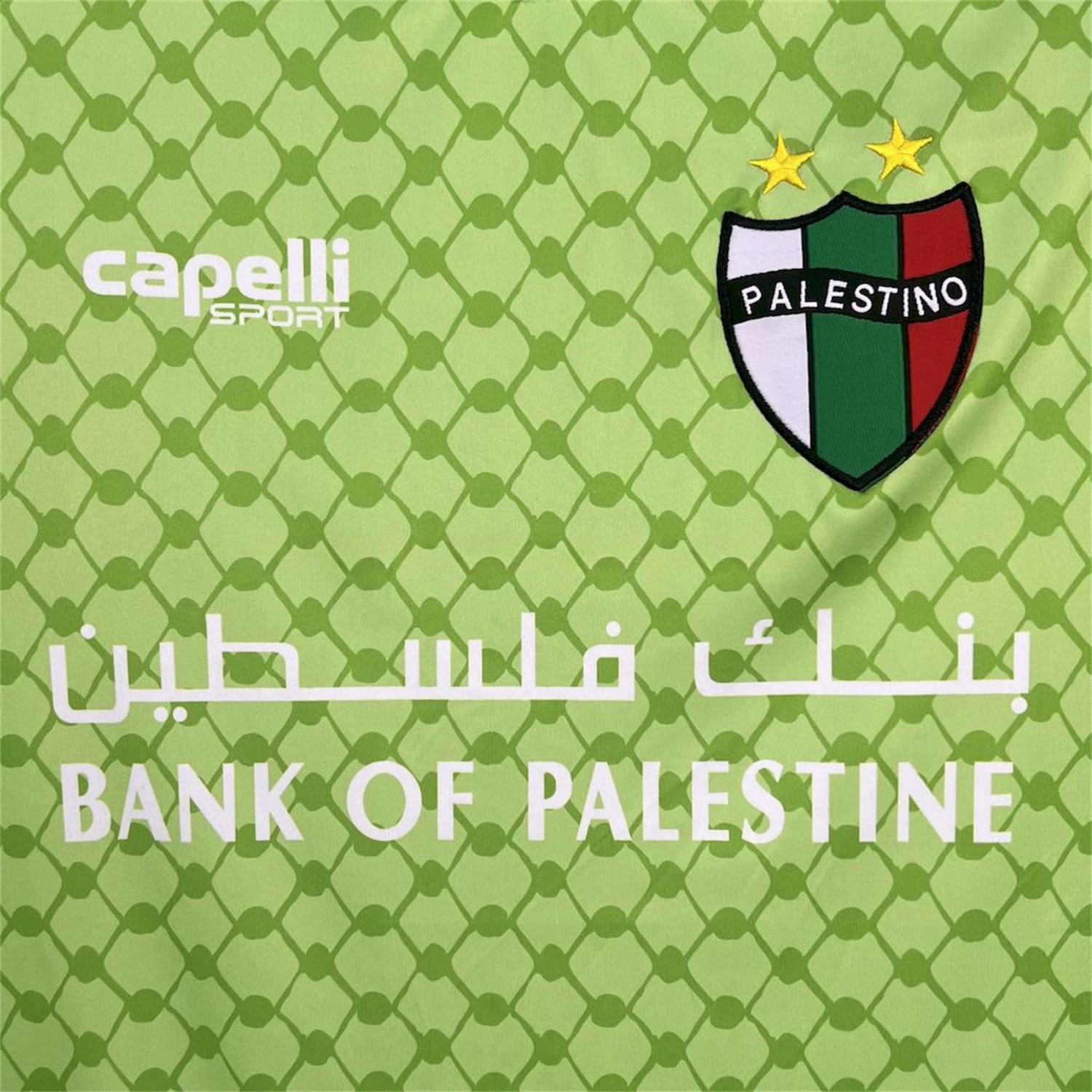 Club Deportivo Palestino 25-26 Green Goalkeeper Jersey - Fans Version - Unitedfutballjersey