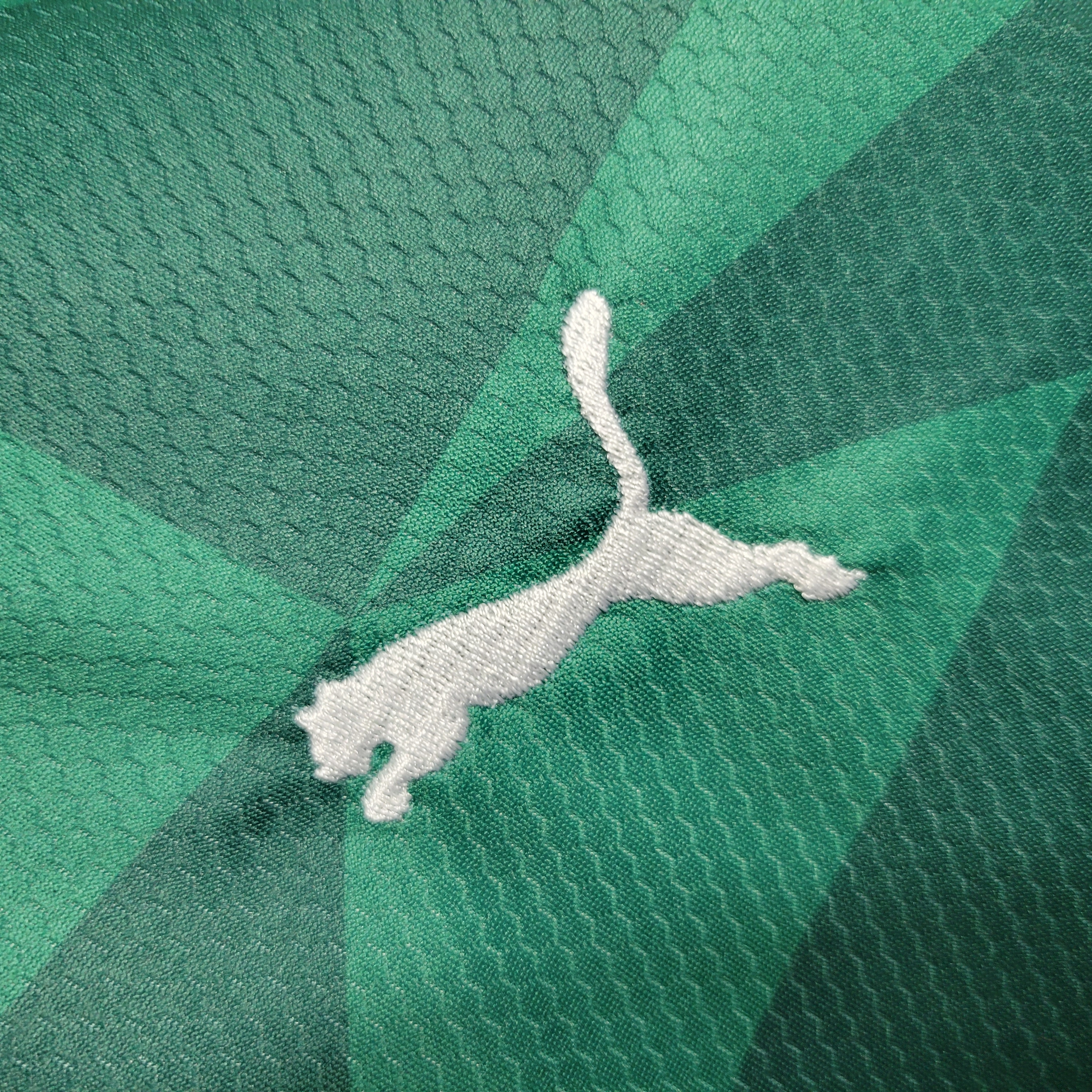 Palmeiras 2023 Home Stadium Kids Kit - Unitedfutballjersey