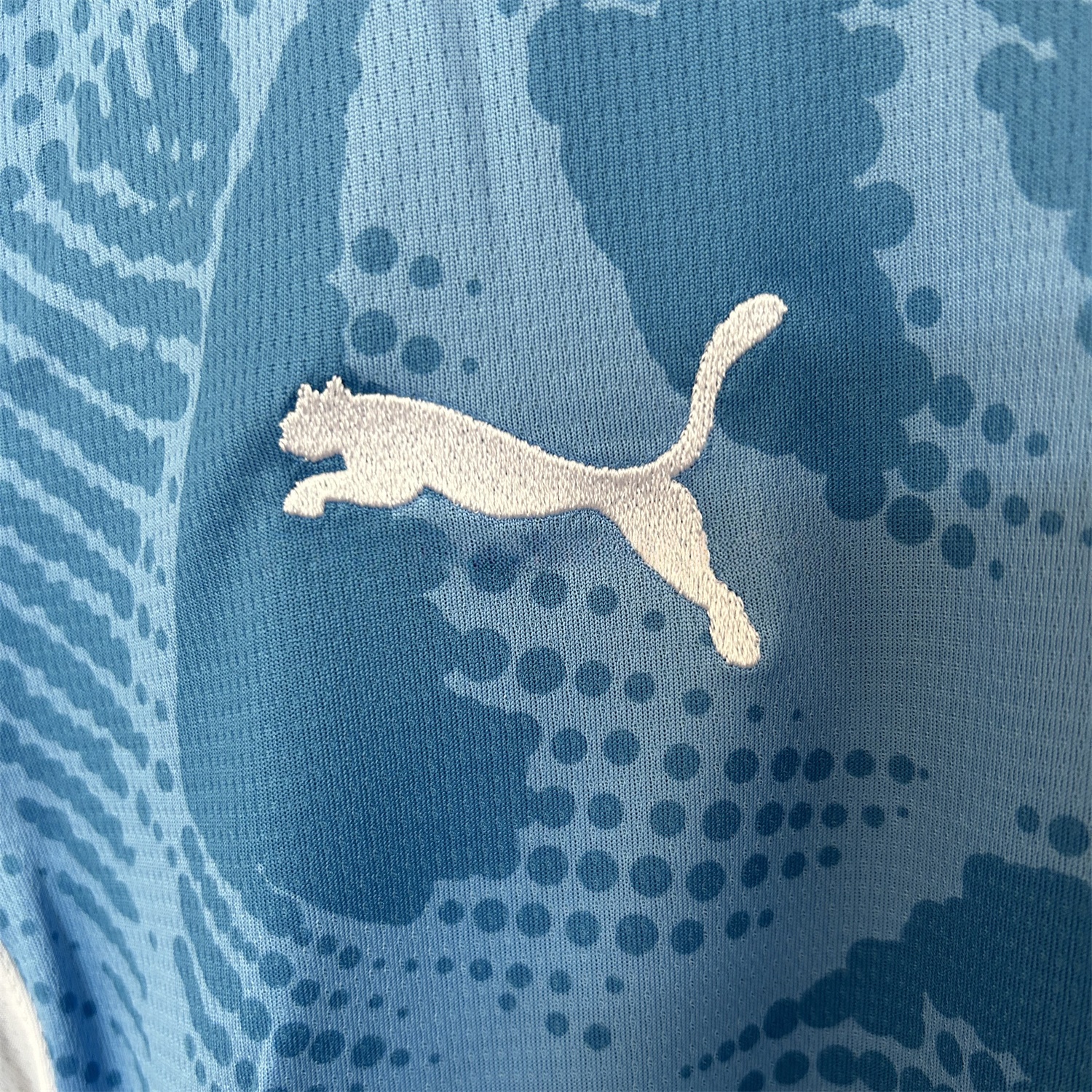 Palmeiras 25-26 Blue Goalkeeper Jersey - Fans Version - Unitedfutballjersey